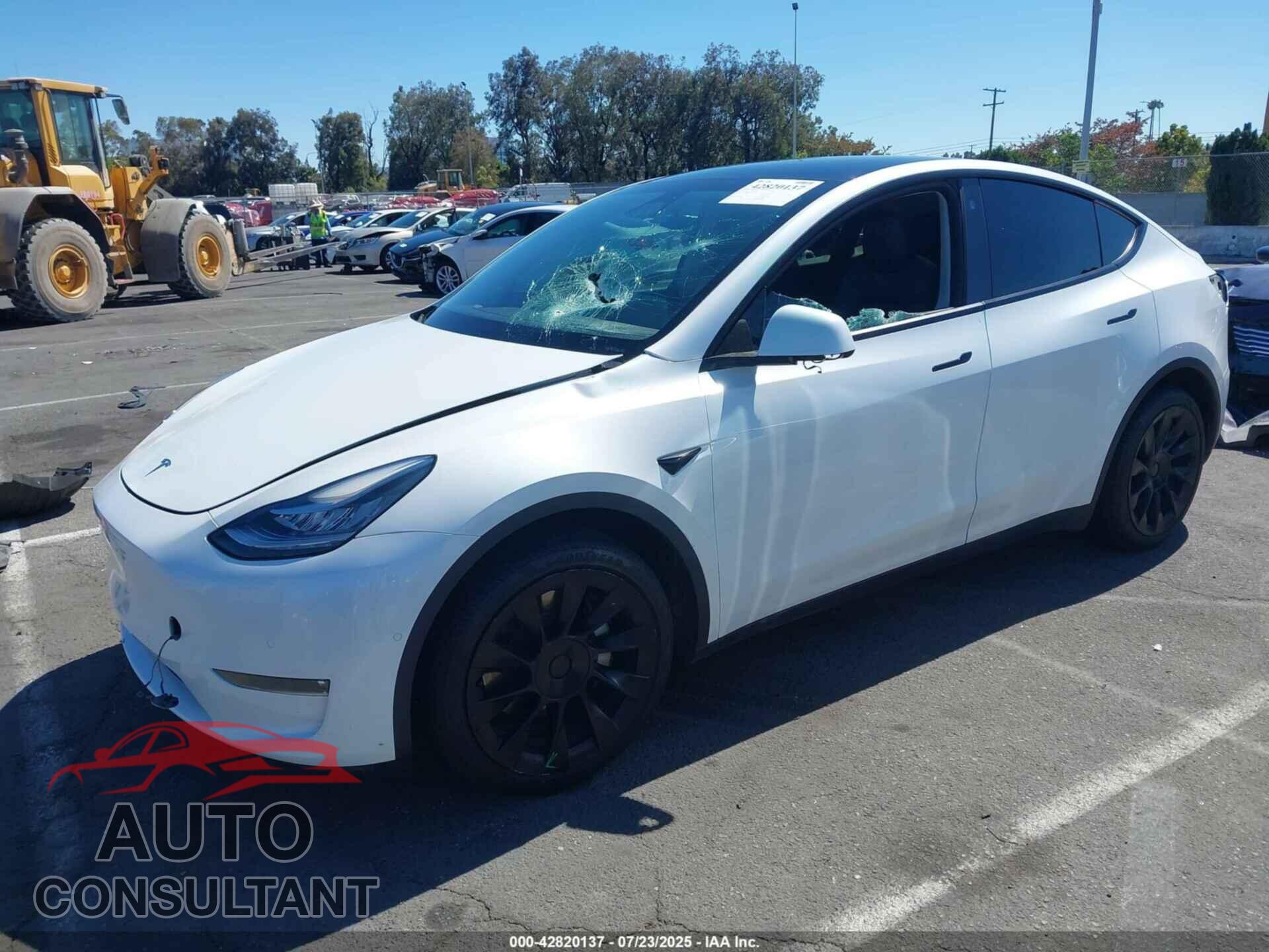 TESLA MODEL Y 2021 - 5YJYGDEE6MF279875