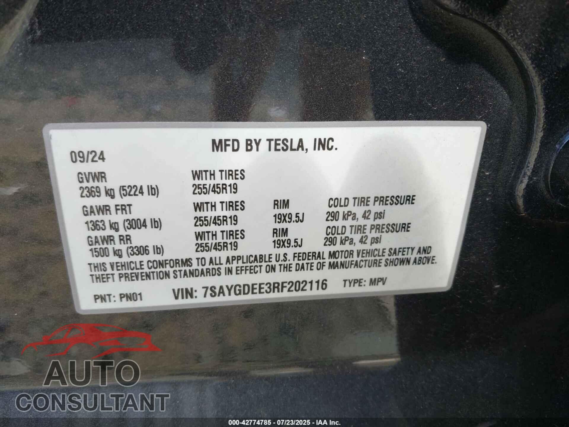 TESLA MODEL Y 2024 - 7SAYGDEE3RF202116