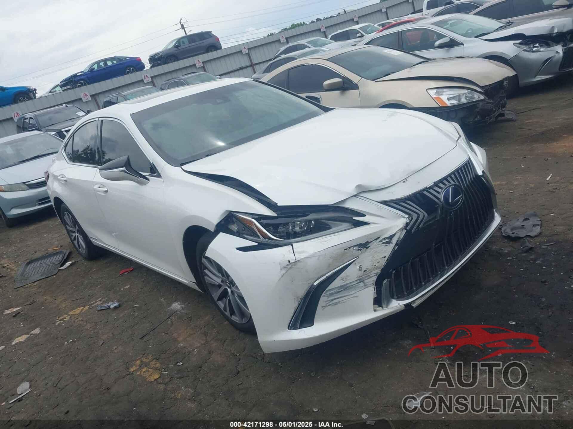LEXUS ES 300H 2020 - 58AC21B10LU006207