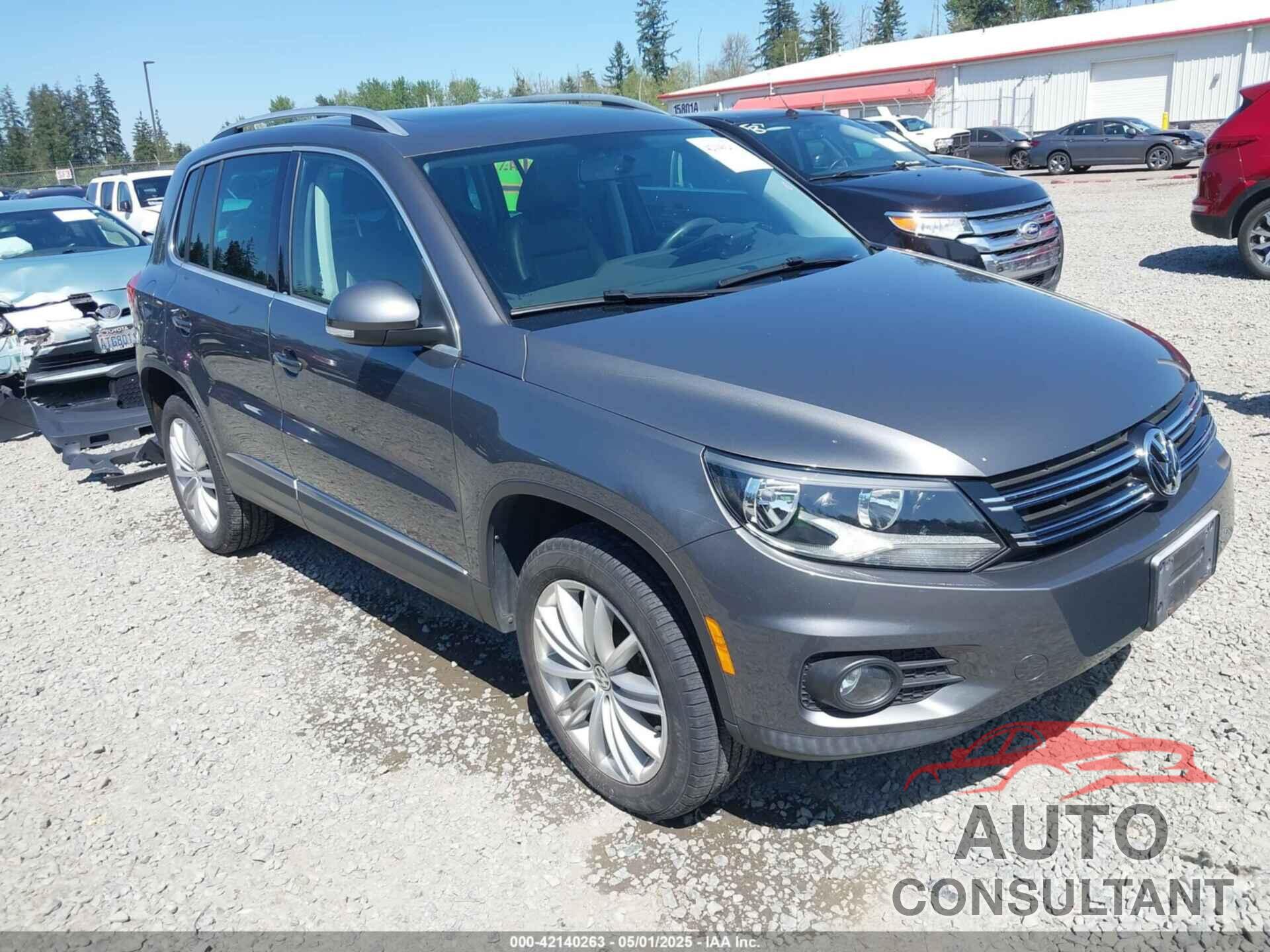 VOLKSWAGEN TIGUAN 2013 - WVGBV3AX1DW595673
