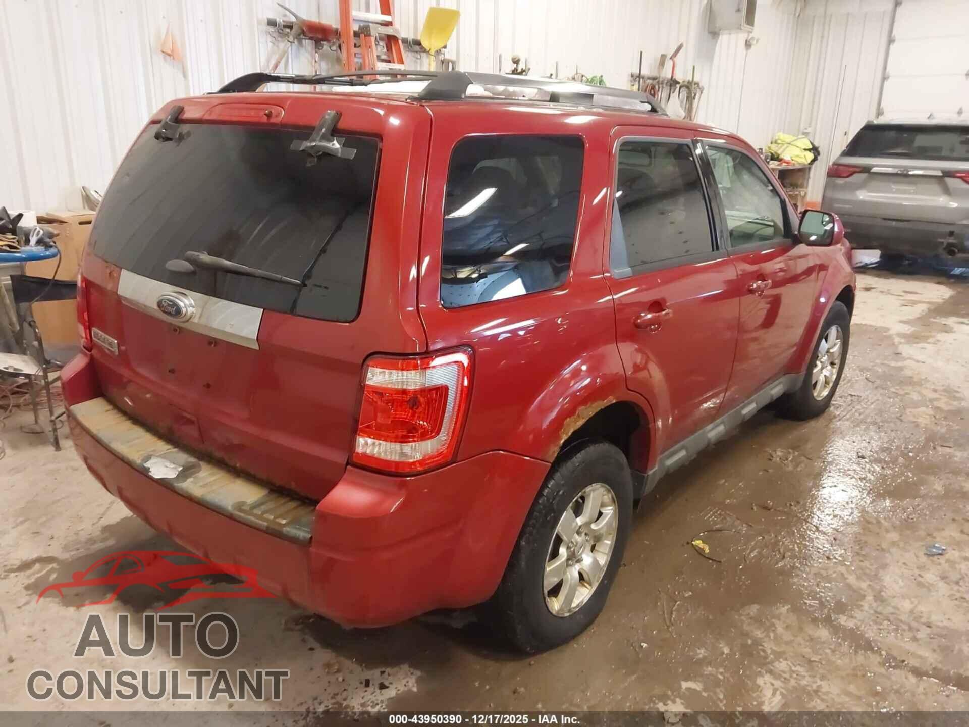 FORD ESCAPE 2011 - 1FMCU9E79BKB39087