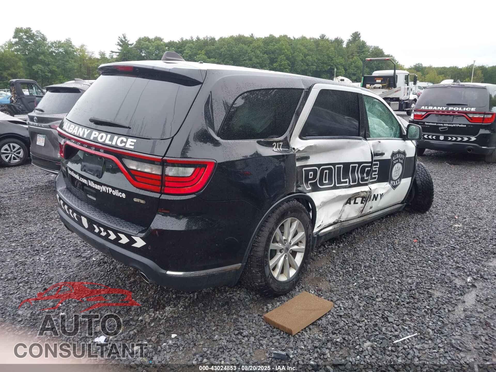 DODGE DURANGO 2019 - 1C4SDJFT5KC781572