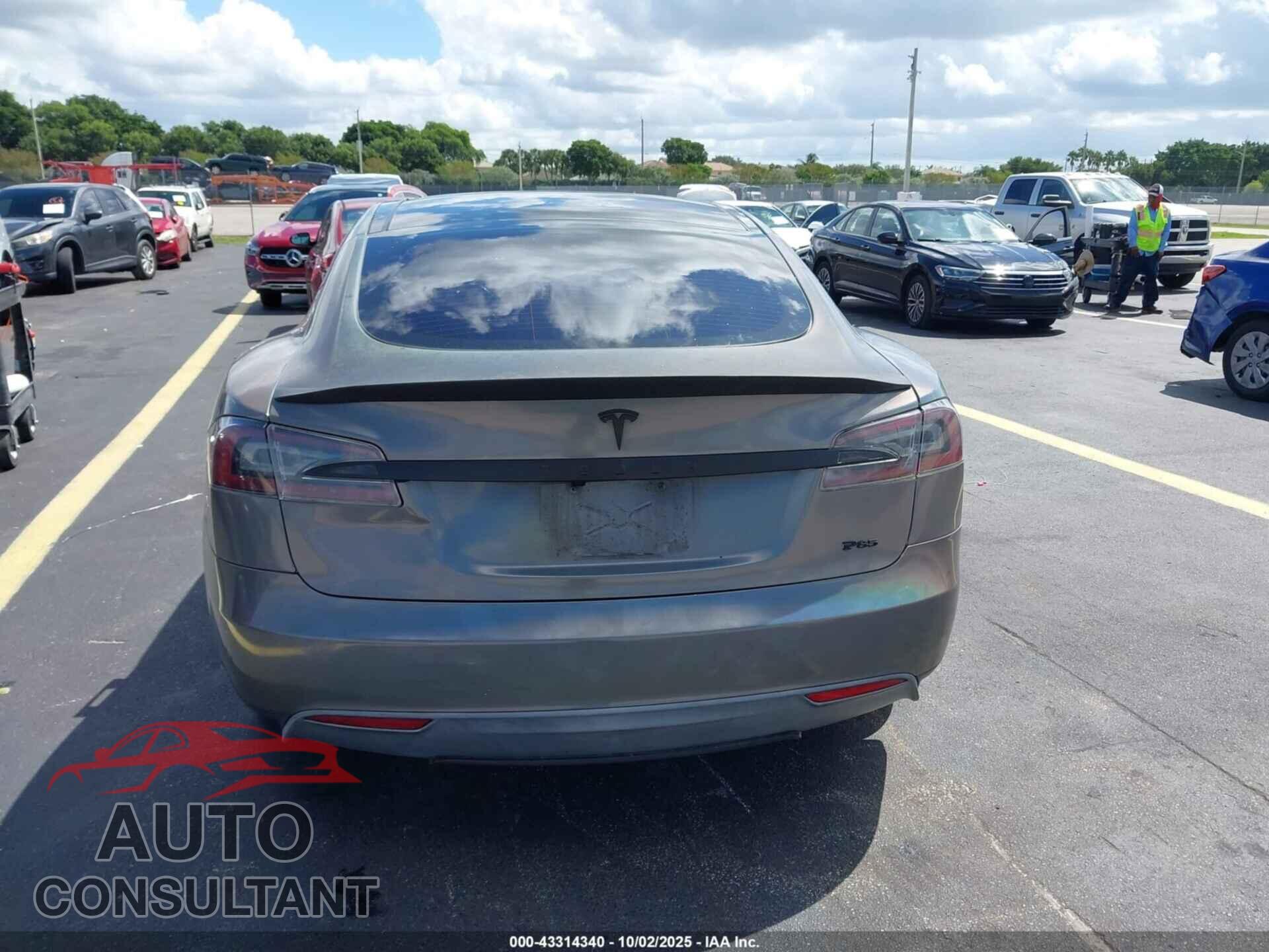 TESLA MODEL S 2013 - 5YJSA1DPXDFP07813