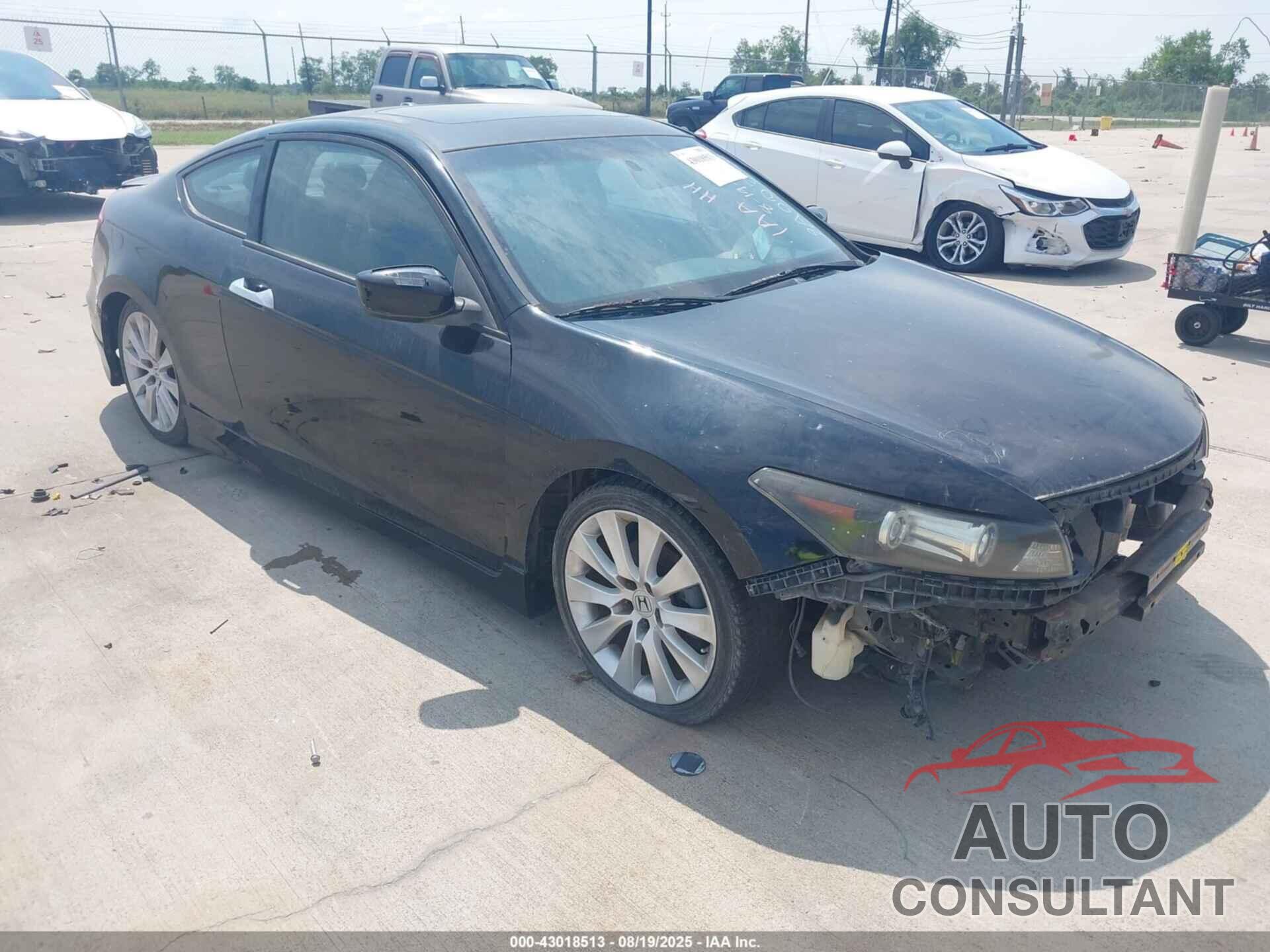 HONDA ACCORD 2009 - 1HGCS22829A002282