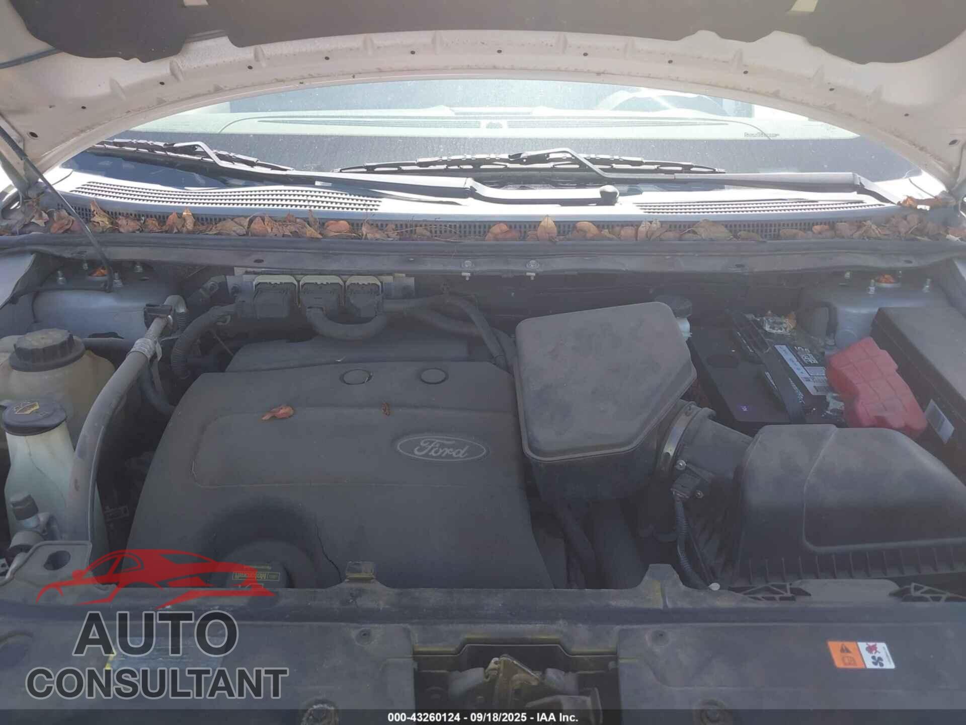 FORD EDGE 2011 - 2FMDK4KC7BBB24449
