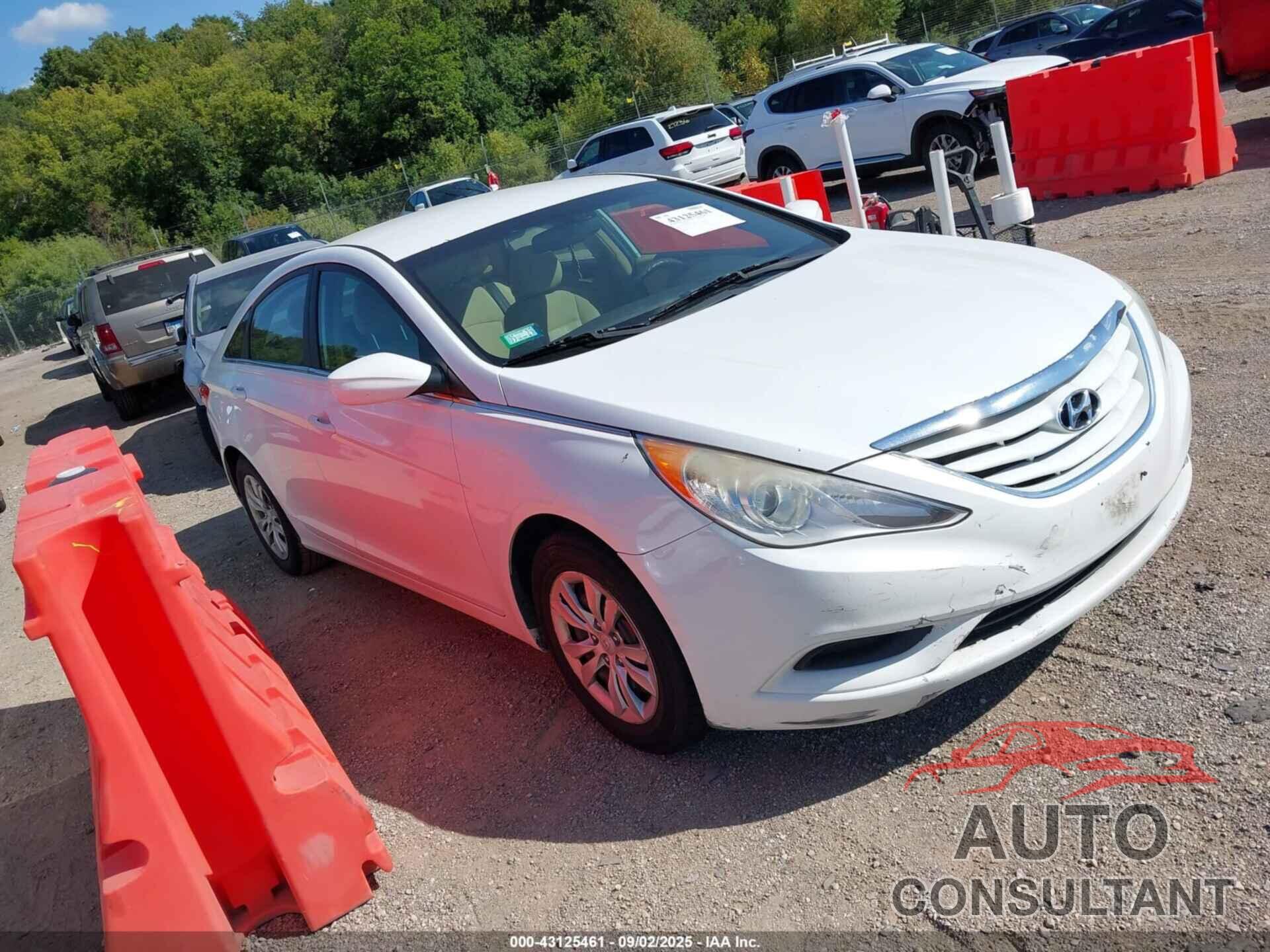 HYUNDAI SONATA 2013 - 5NPEB4AC8DH593602
