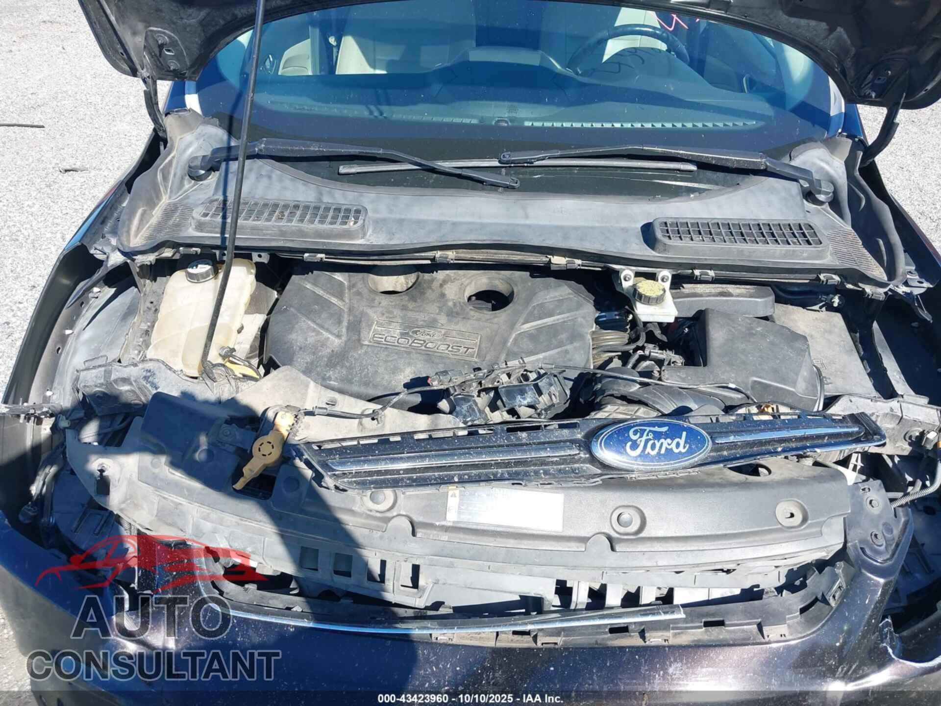 FORD ESCAPE 2013 - 1FMCU0H92DUB31753