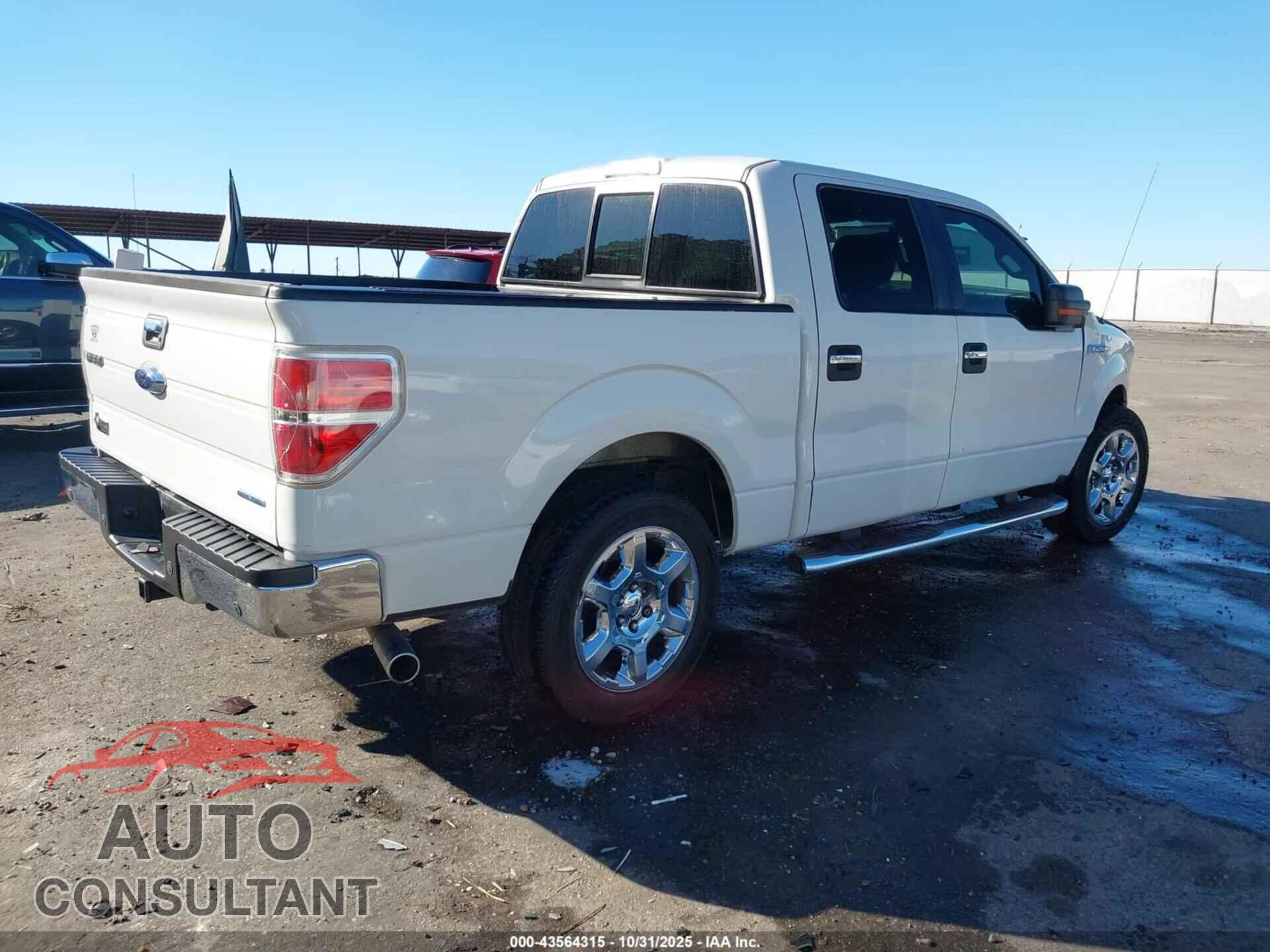 FORD F-150 2013 - 1FTFW1CF1DFD81164