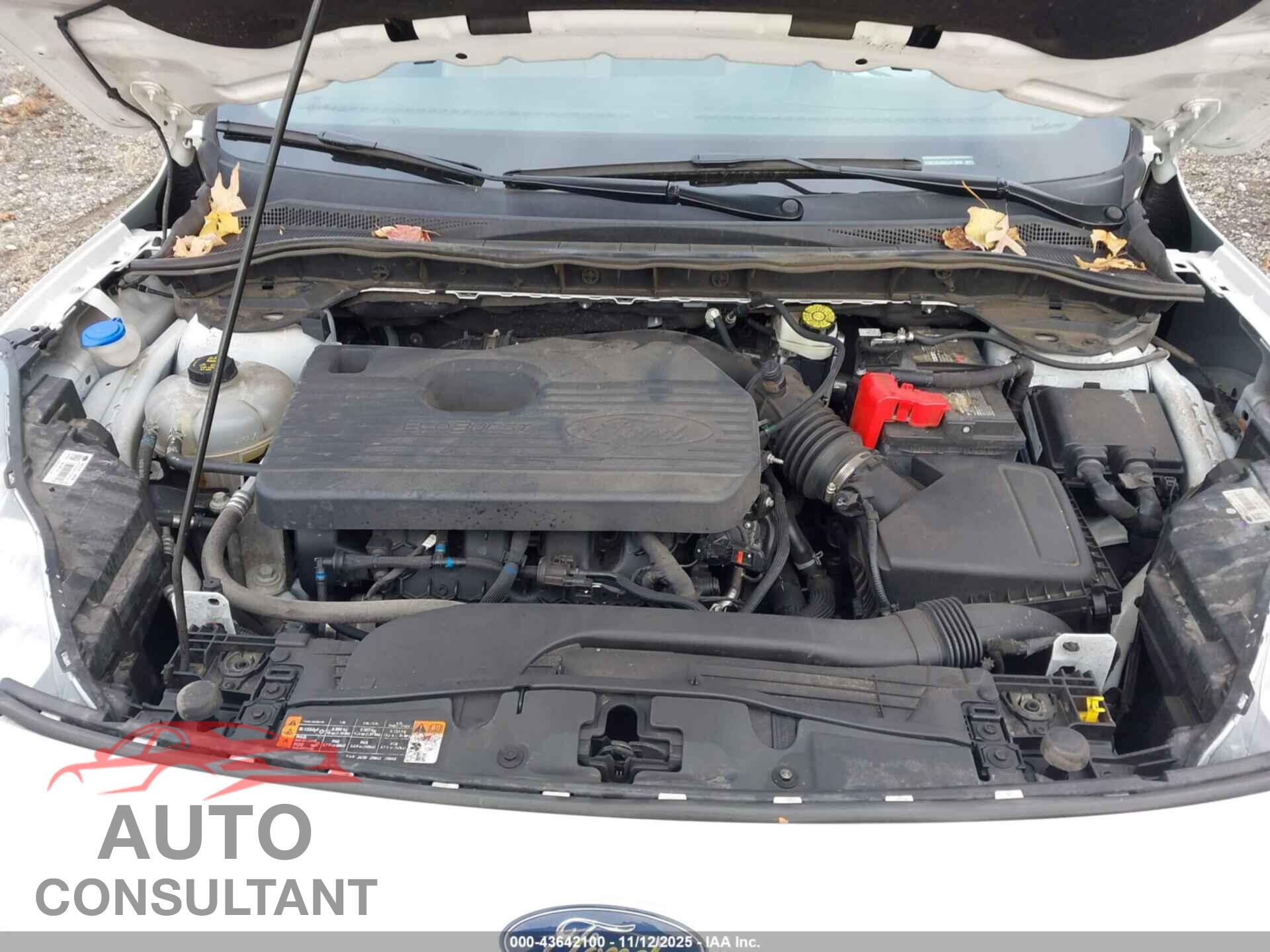 FORD ESCAPE 2020 - 1FMCU9J95LUA73800