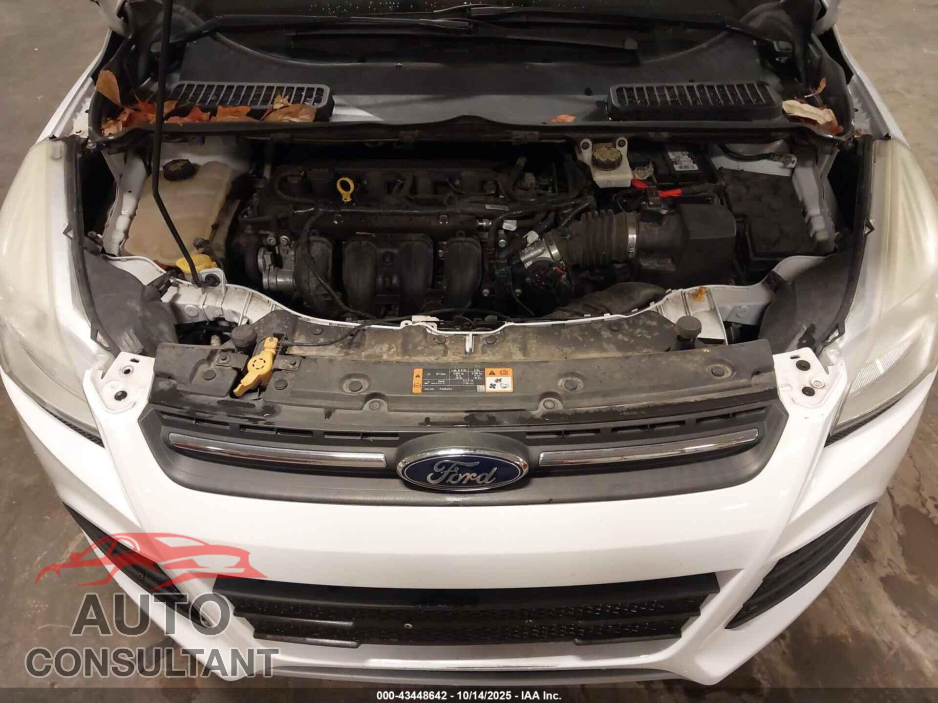 FORD ESCAPE 2014 - 1FMCU0F74EUC16192