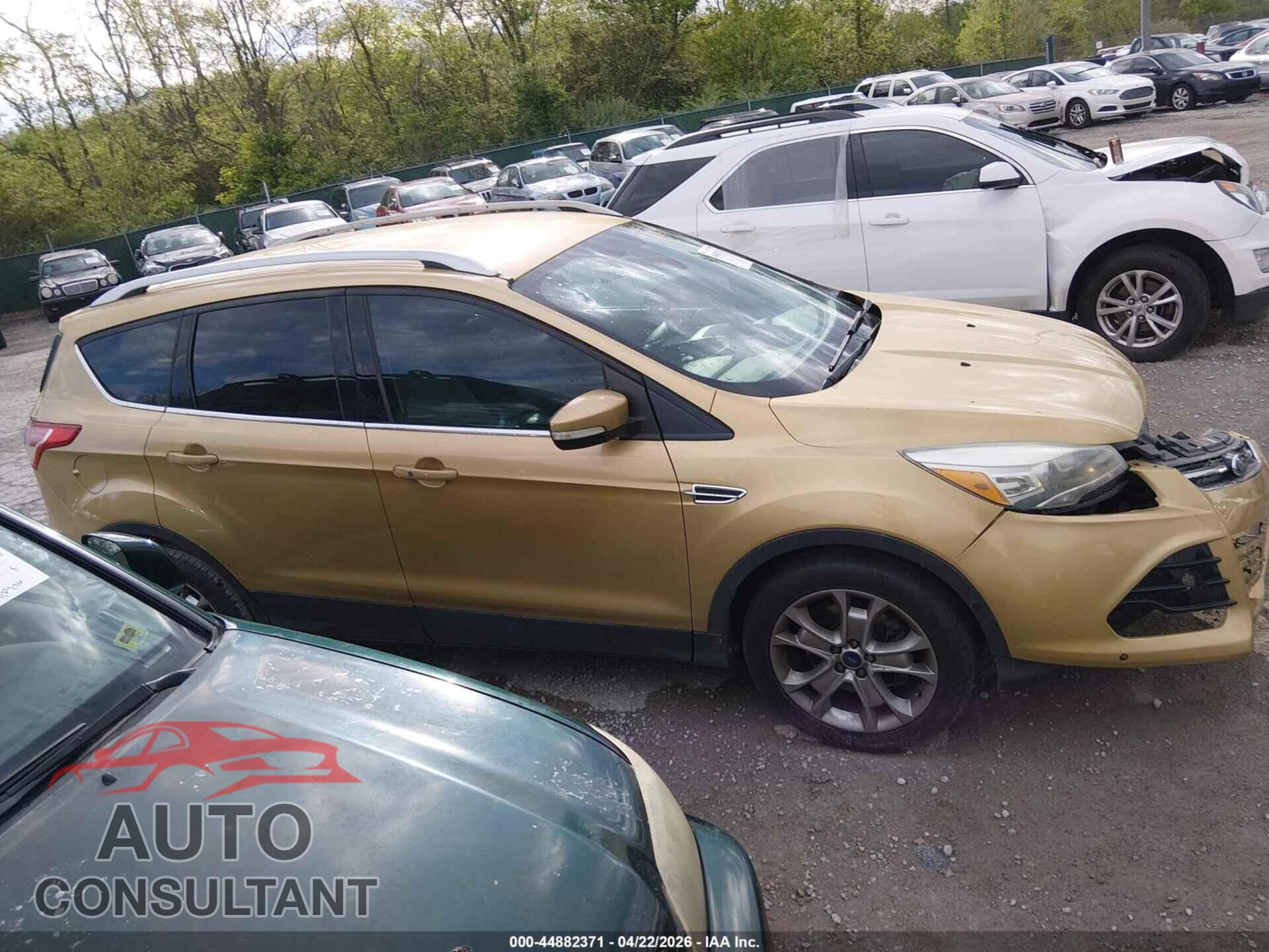 FORD ESCAPE 2014 - 1FMCU0J92EUD63443