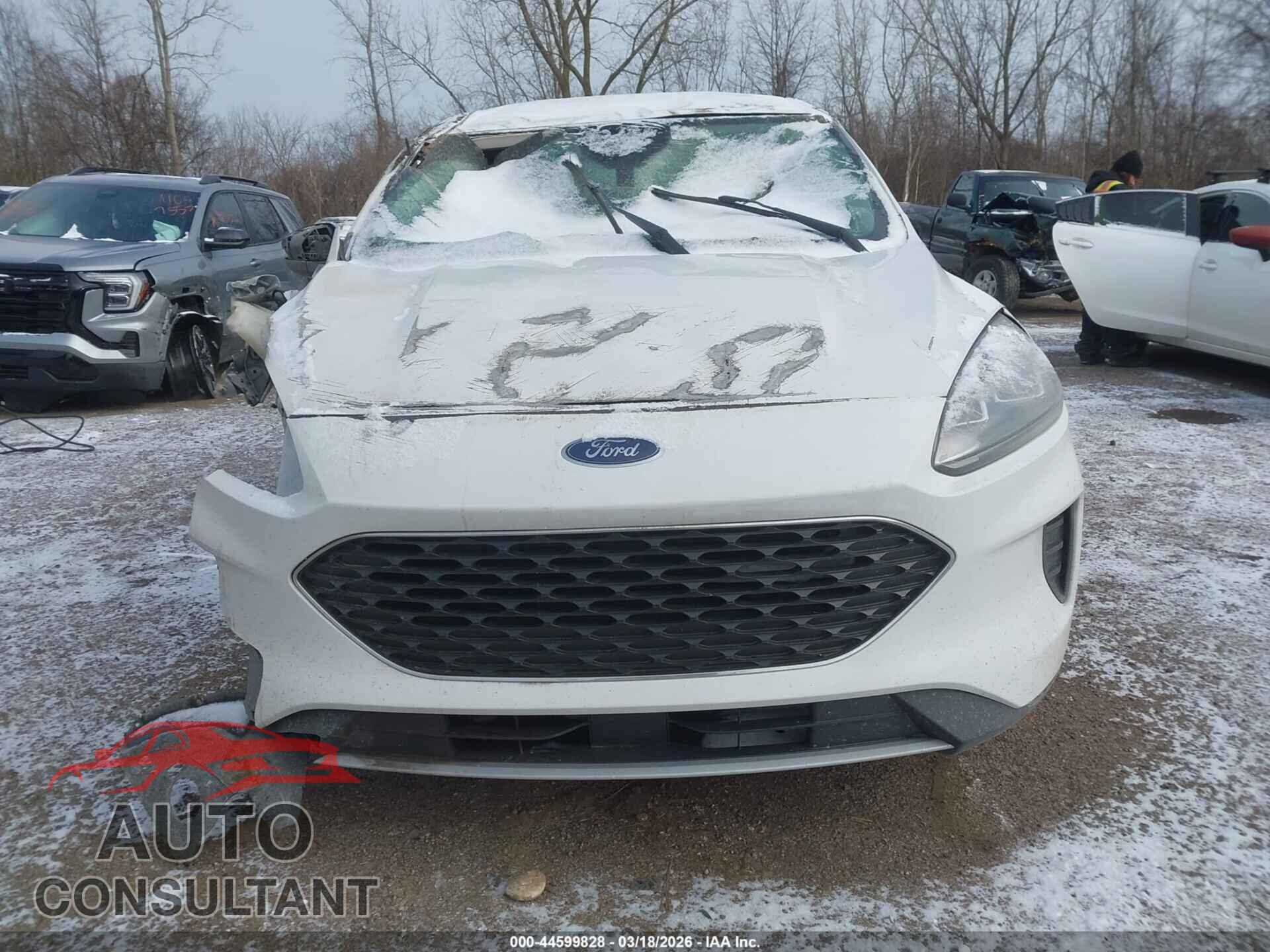 FORD ESCAPE 2022 - 1FMCU0G69NUB65018