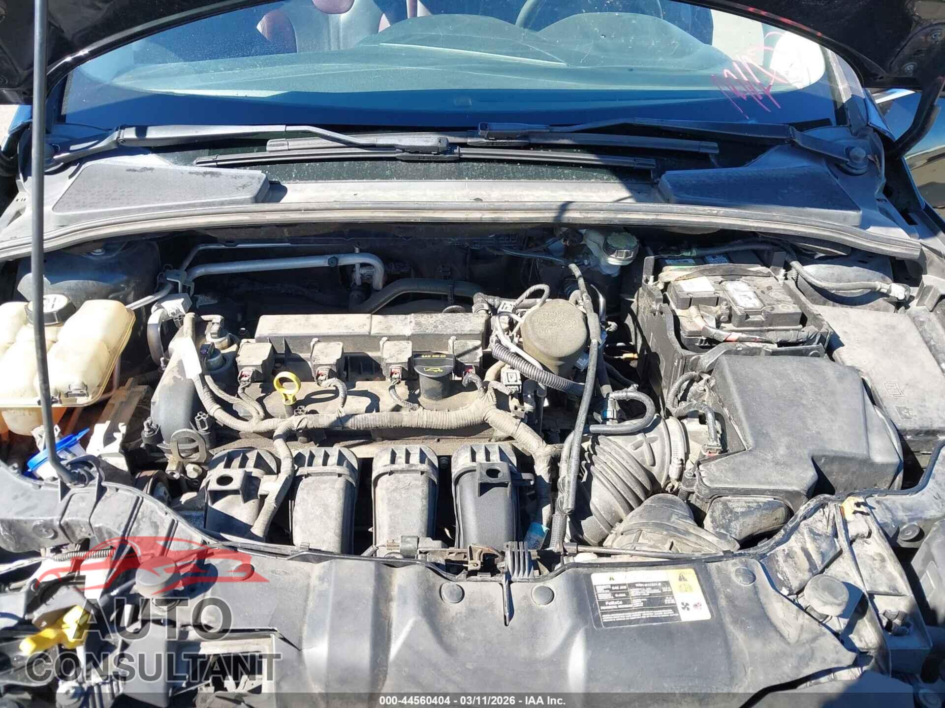 FORD FOCUS 2013 - 1FADP3N24DL301616
