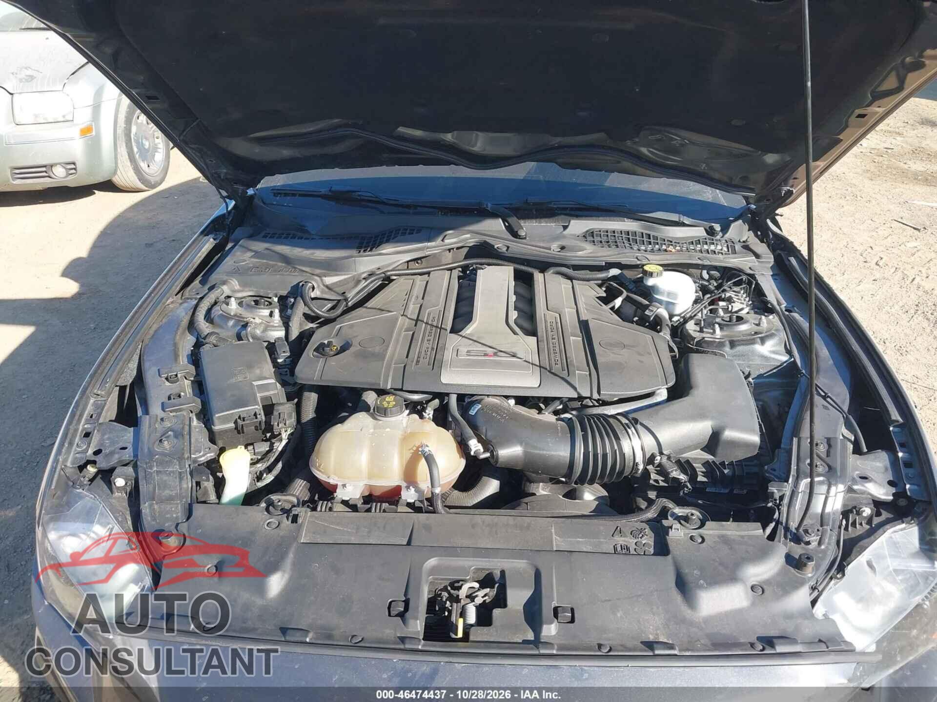 FORD MUSTANG 2019 - 1FA6P8CF7K5142555