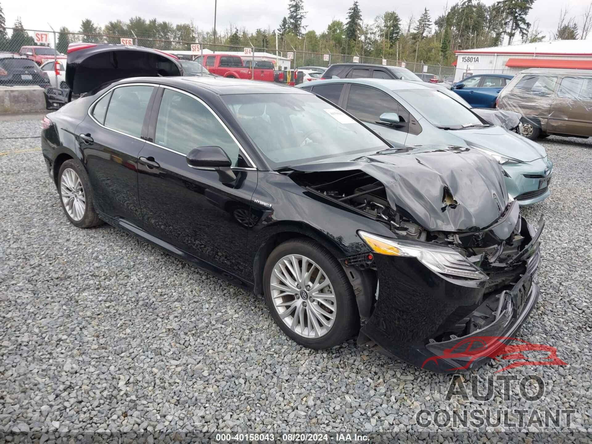 TOYOTA CAMRY HYBRID 2019 - 4T1B21HK7KU517365