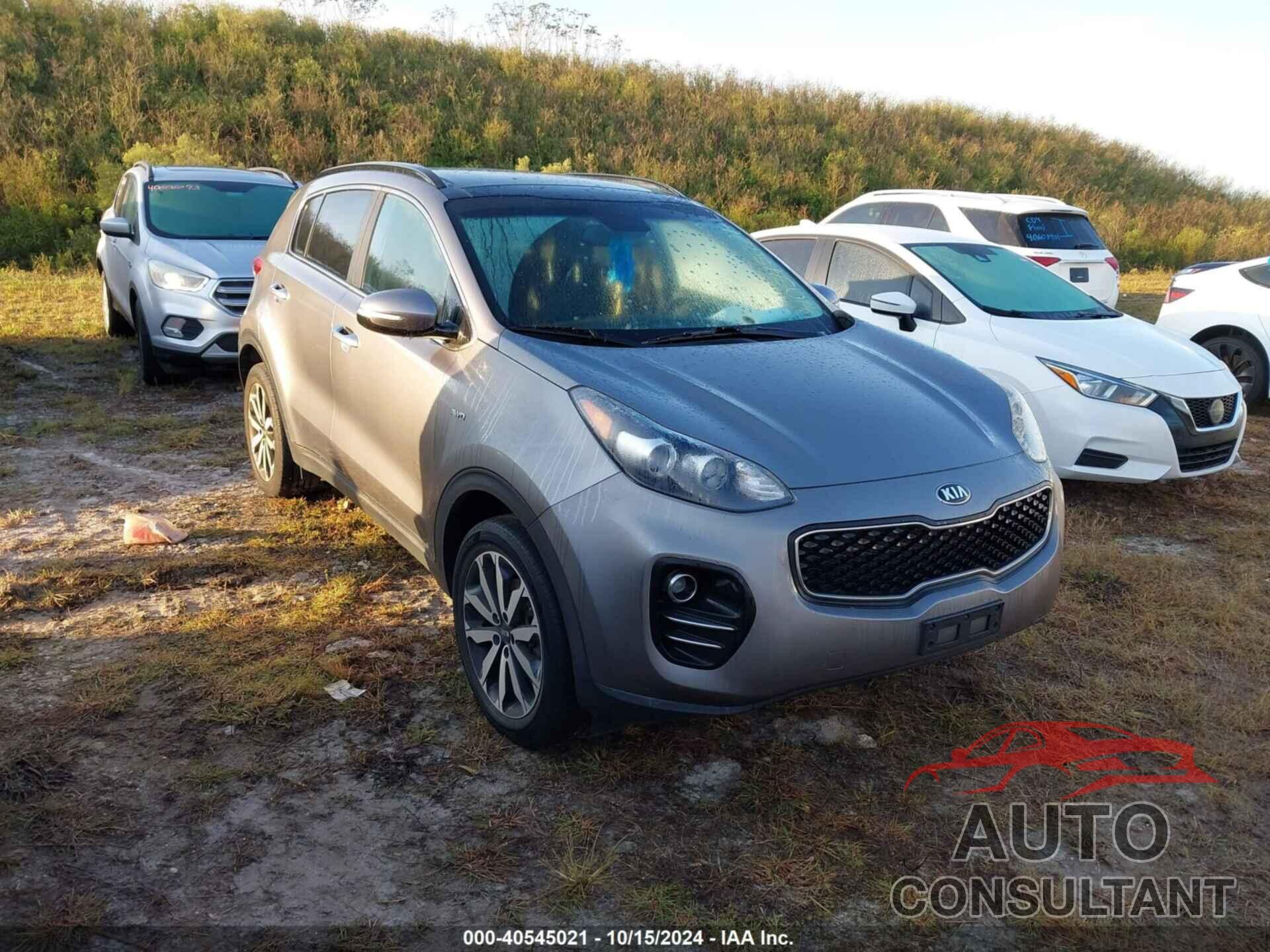 KIA SPORTAGE 2019 - KNDPNCAC2K7555715