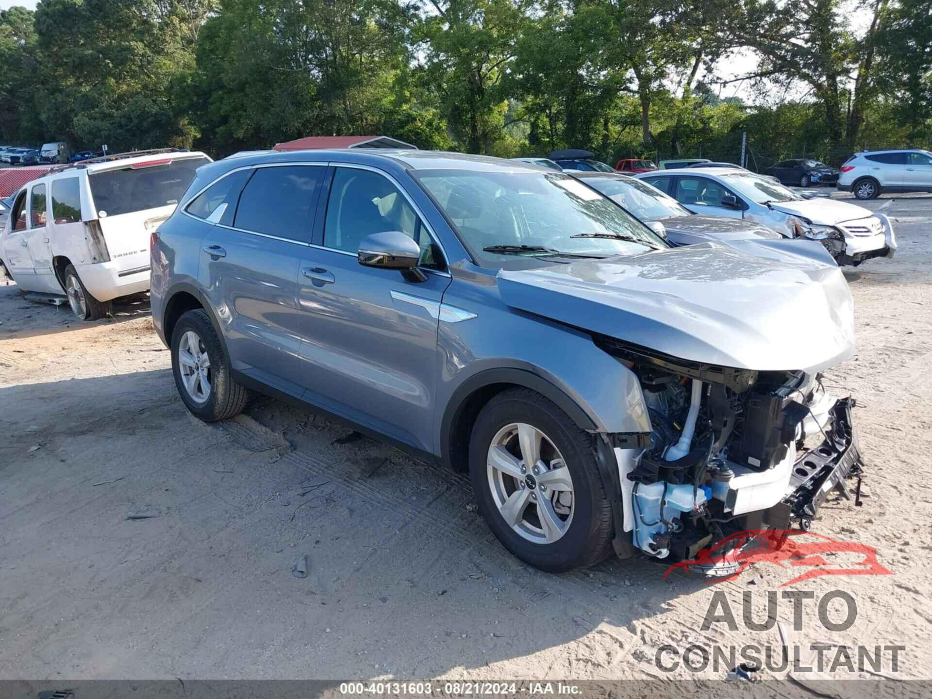 KIA SORENTO 2024 - 5XYRG4JC4RG293833