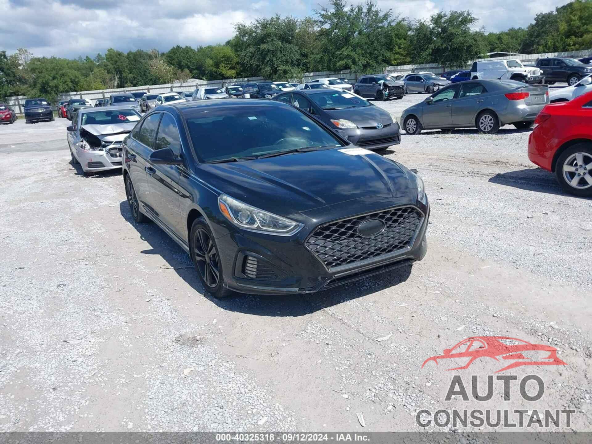 HYUNDAI SONATA 2019 - 5NPE34AF9KH733743