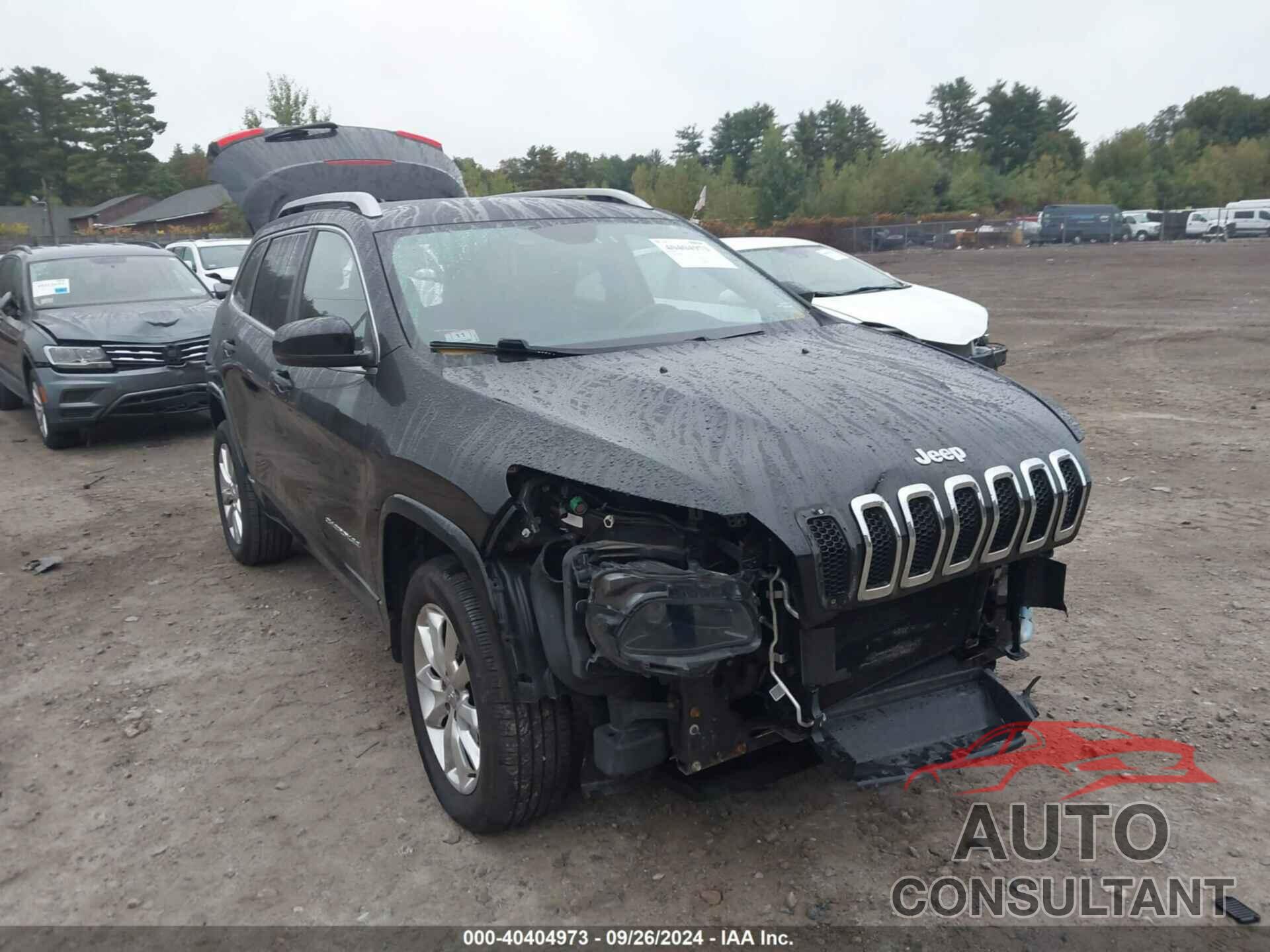 JEEP CHEROKEE 2016 - 1C4PJMJS2GW321418