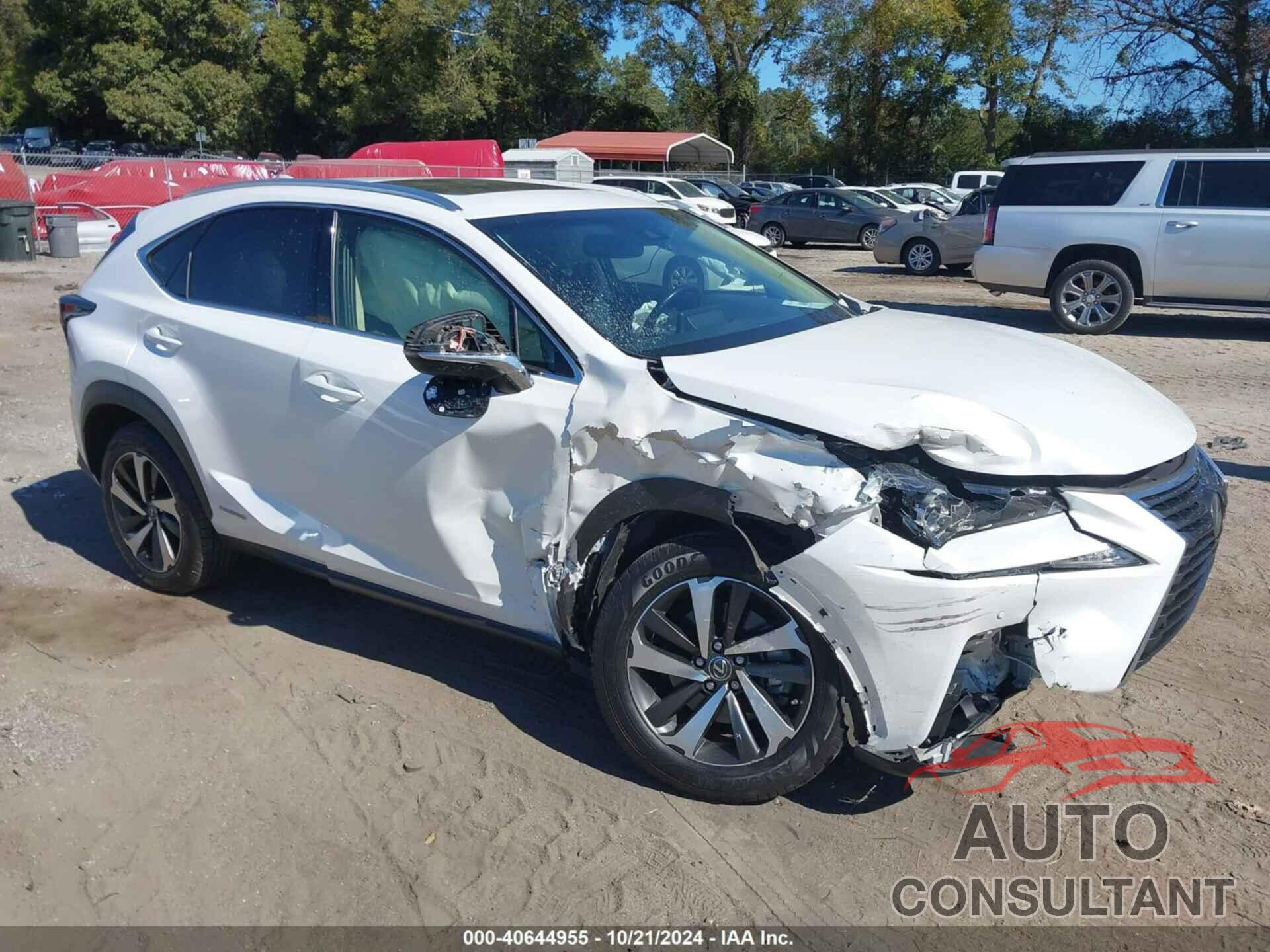LEXUS NX 300H 2019 - JTJBJRBZ3K2123334