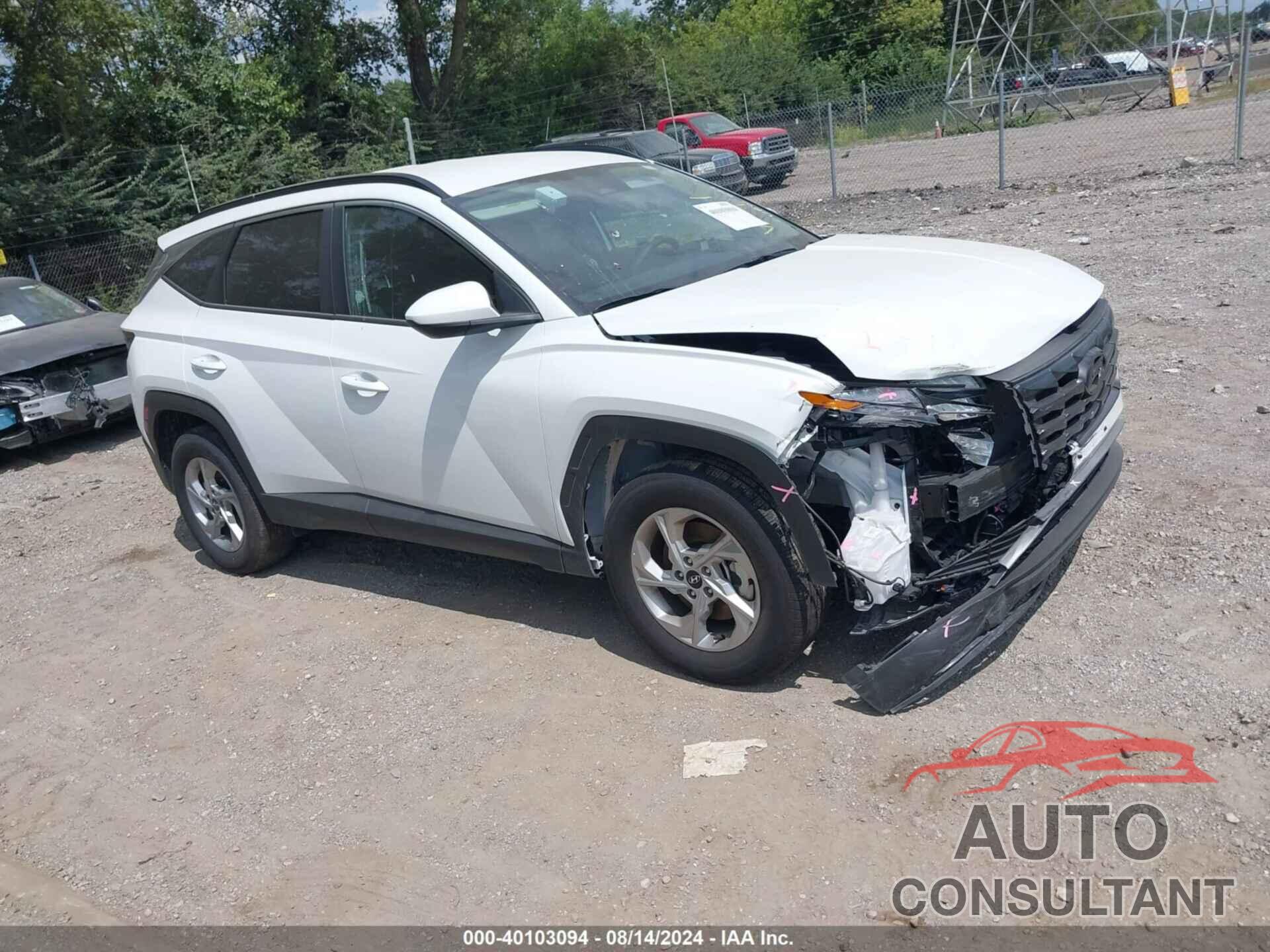 HYUNDAI TUCSON 2024 - 5NMJBCDE0RH387572