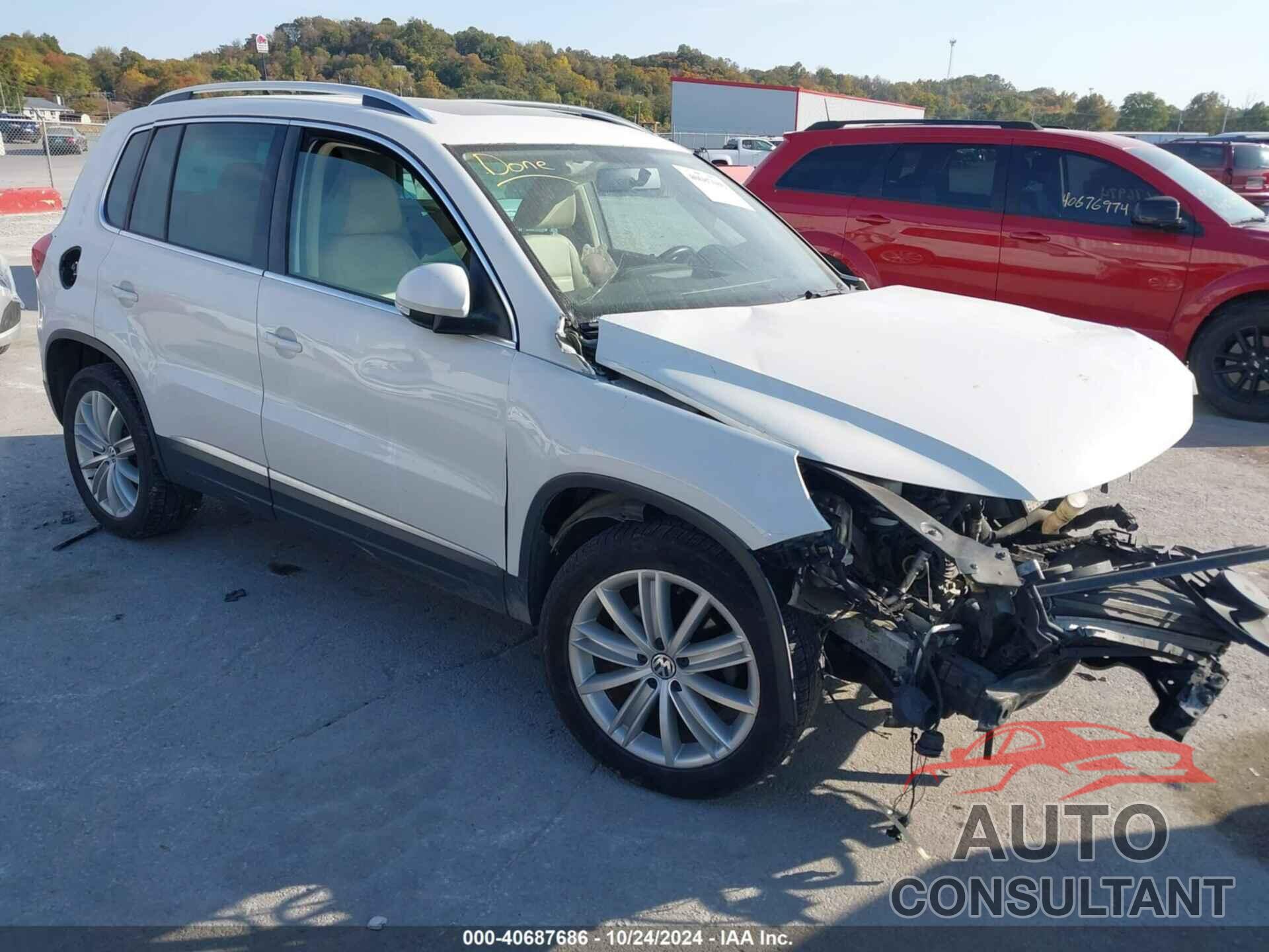 VOLKSWAGEN TIGUAN 2013 - WVGBV7AX1DW507521