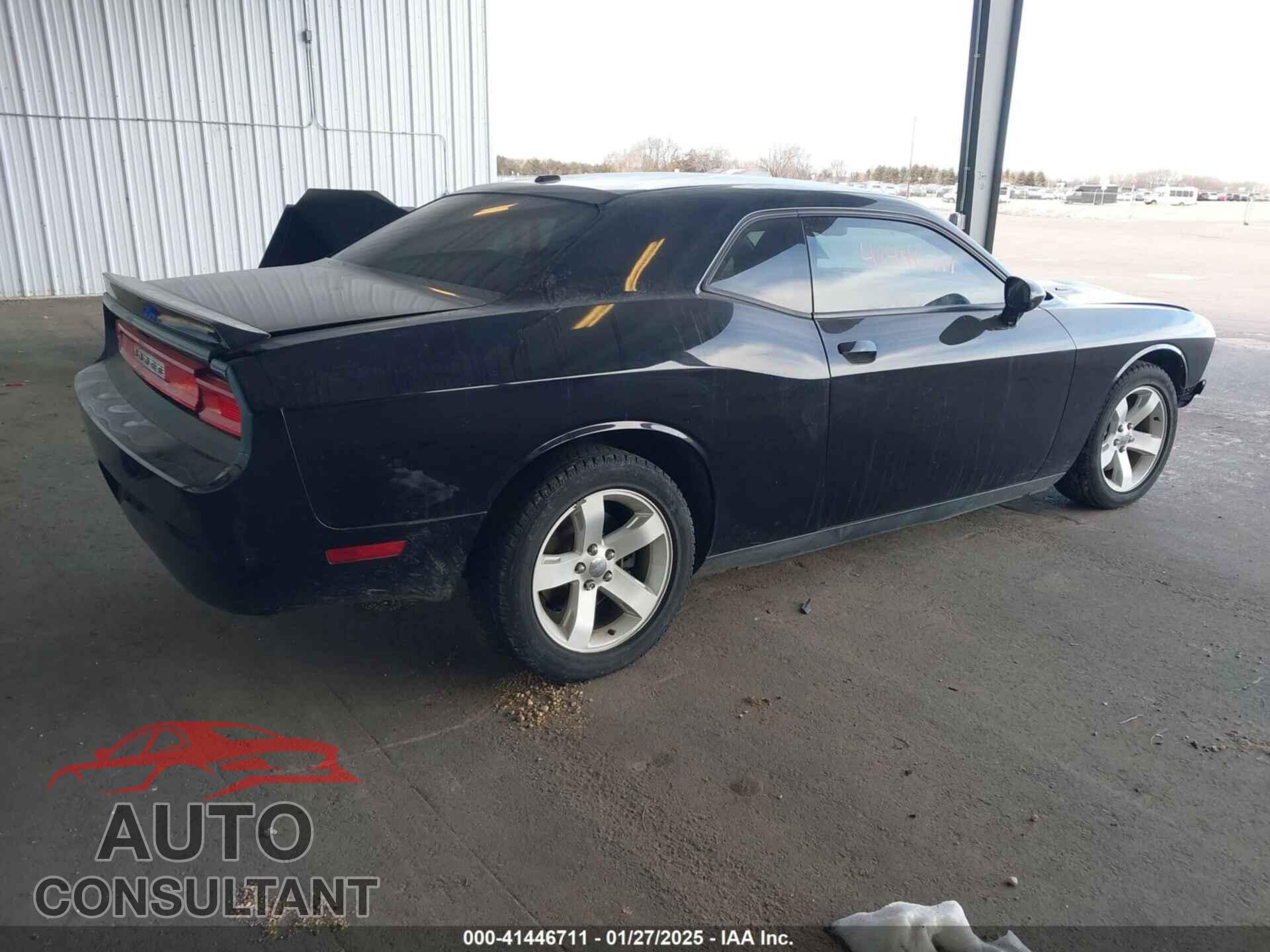 DODGE CHALLENGER 2013 - 2C3CDYBT2DH535991