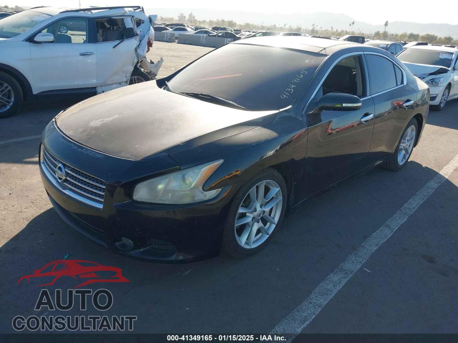 NISSAN MAXIMA 2011 - 1N4AA5AP1BC812912