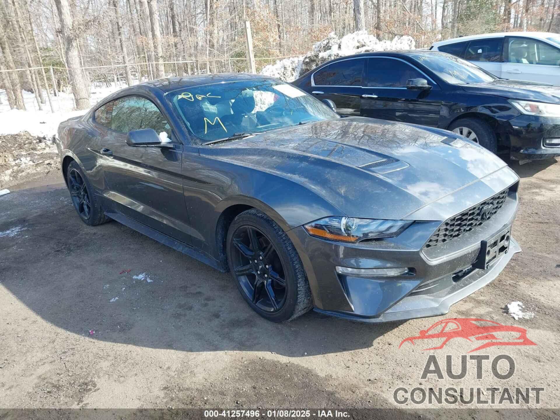 FORD MUSTANG 2019 - 1FA6P8TH7K5117365
