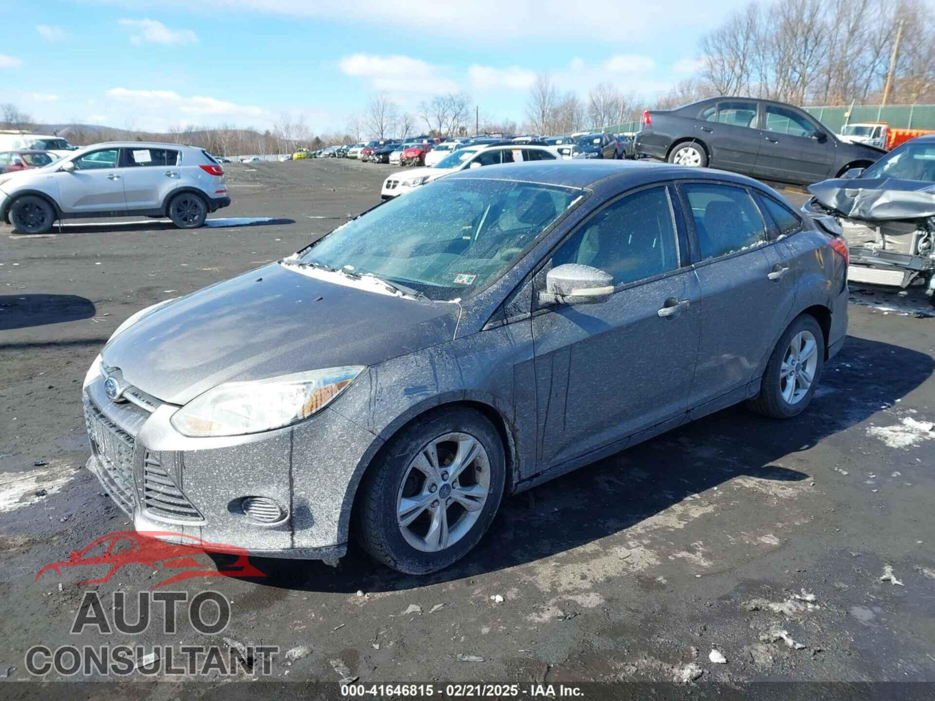 FORD FOCUS 2013 - 1FADP3F24DL288221