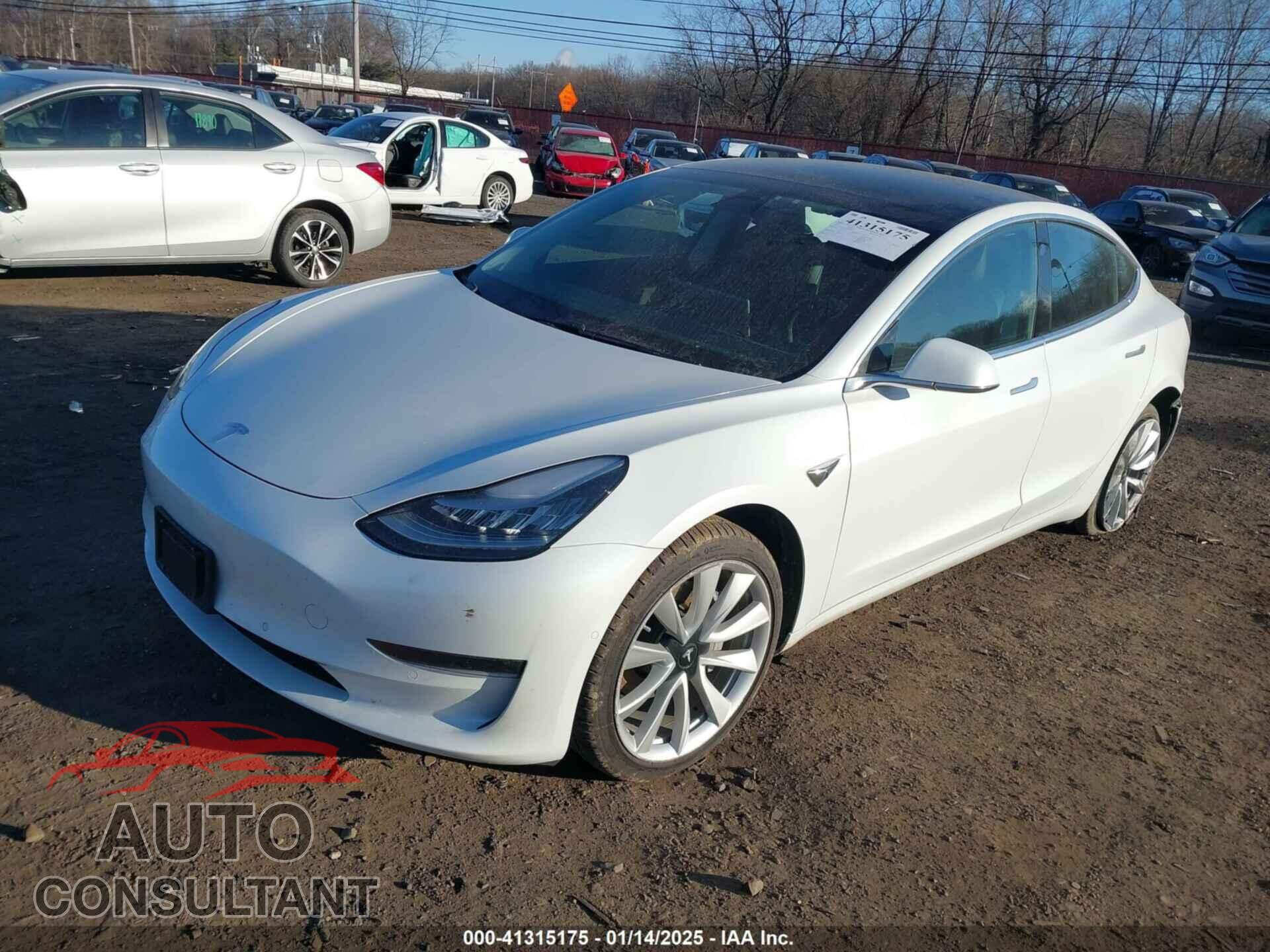 TESLA MODEL 3 2019 - 5YJ3E1EA3KF402525