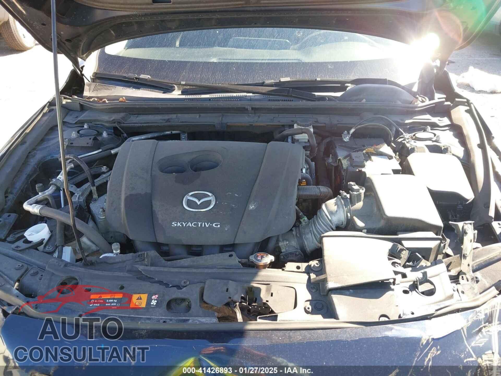 MAZDA MAZDA3 2019 - JM1BPACL7K1106698