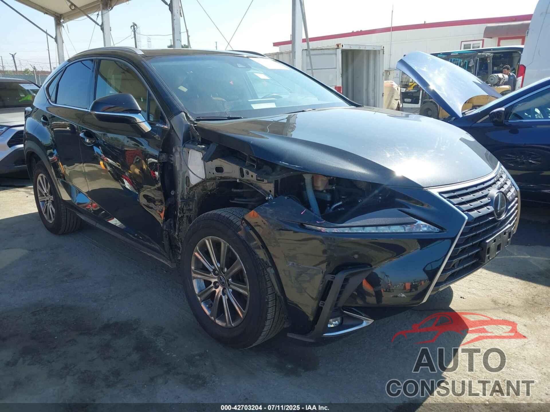 LEXUS NX 300 2019 - JTJYARBZ3K2135347
