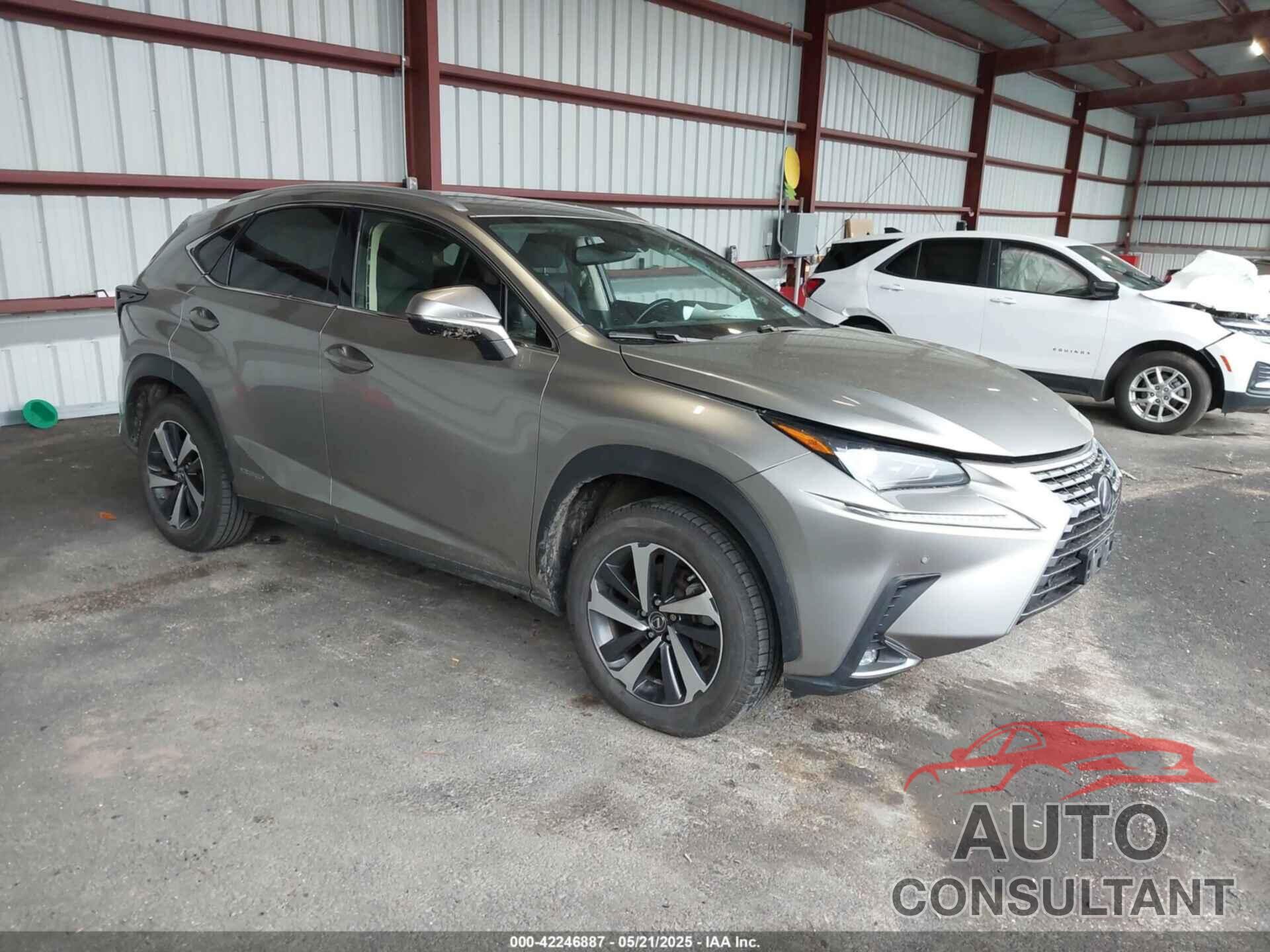 LEXUS NX 300H 2020 - JTJGJRDZ0L2126938