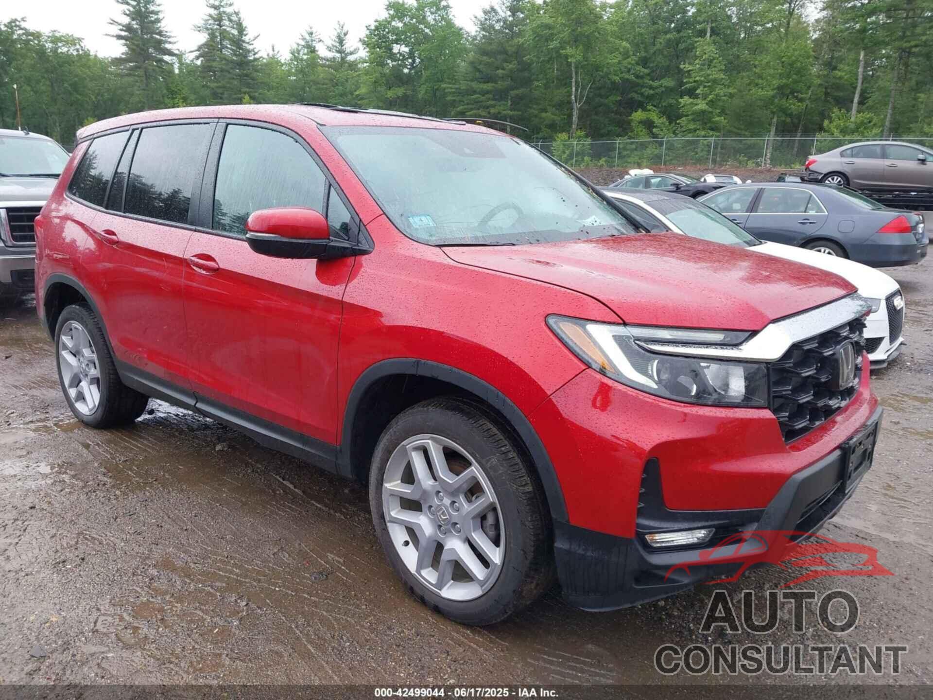 HONDA PASSPORT 2024 - 5FNYF8H5XRB010355