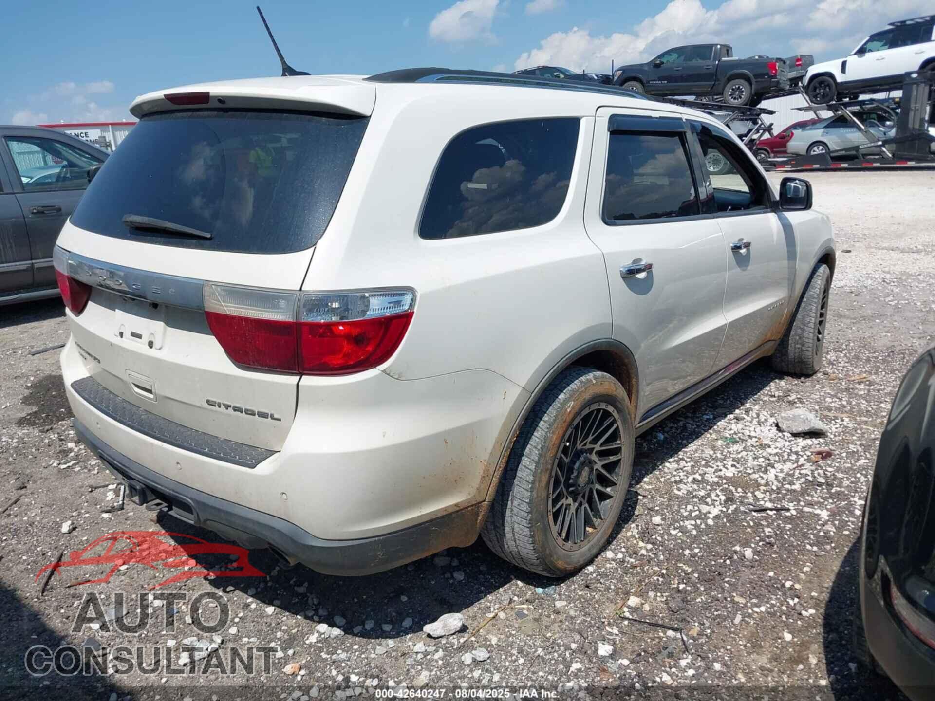 DODGE DURANGO 2011 - 1D4SE5GTXBC695759