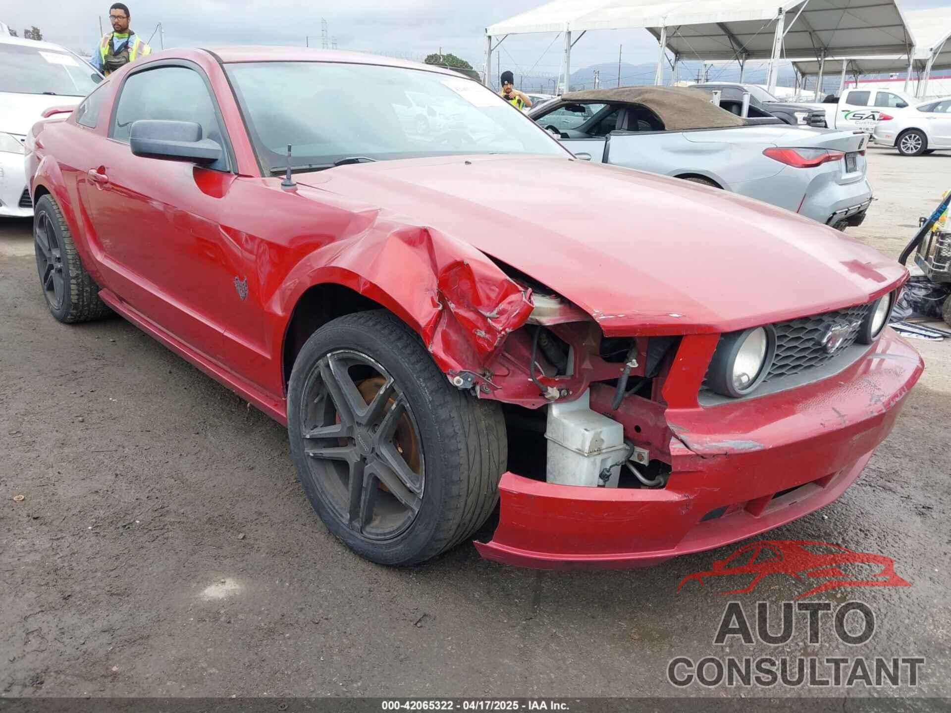 FORD MUSTANG 2009 - 1ZVHT82H095105307