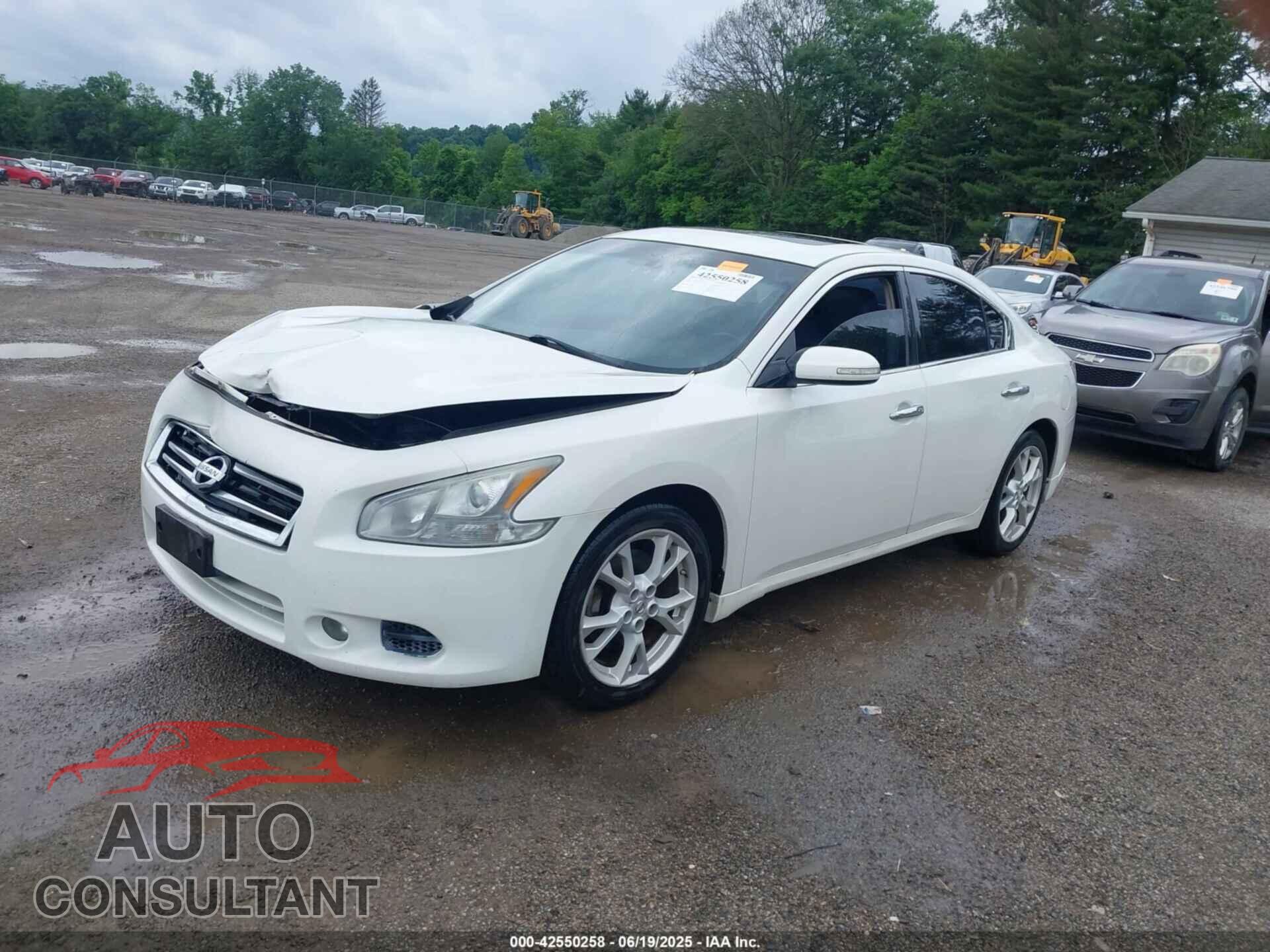 NISSAN MAXIMA 2013 - 1N4AA5AP1DC825064