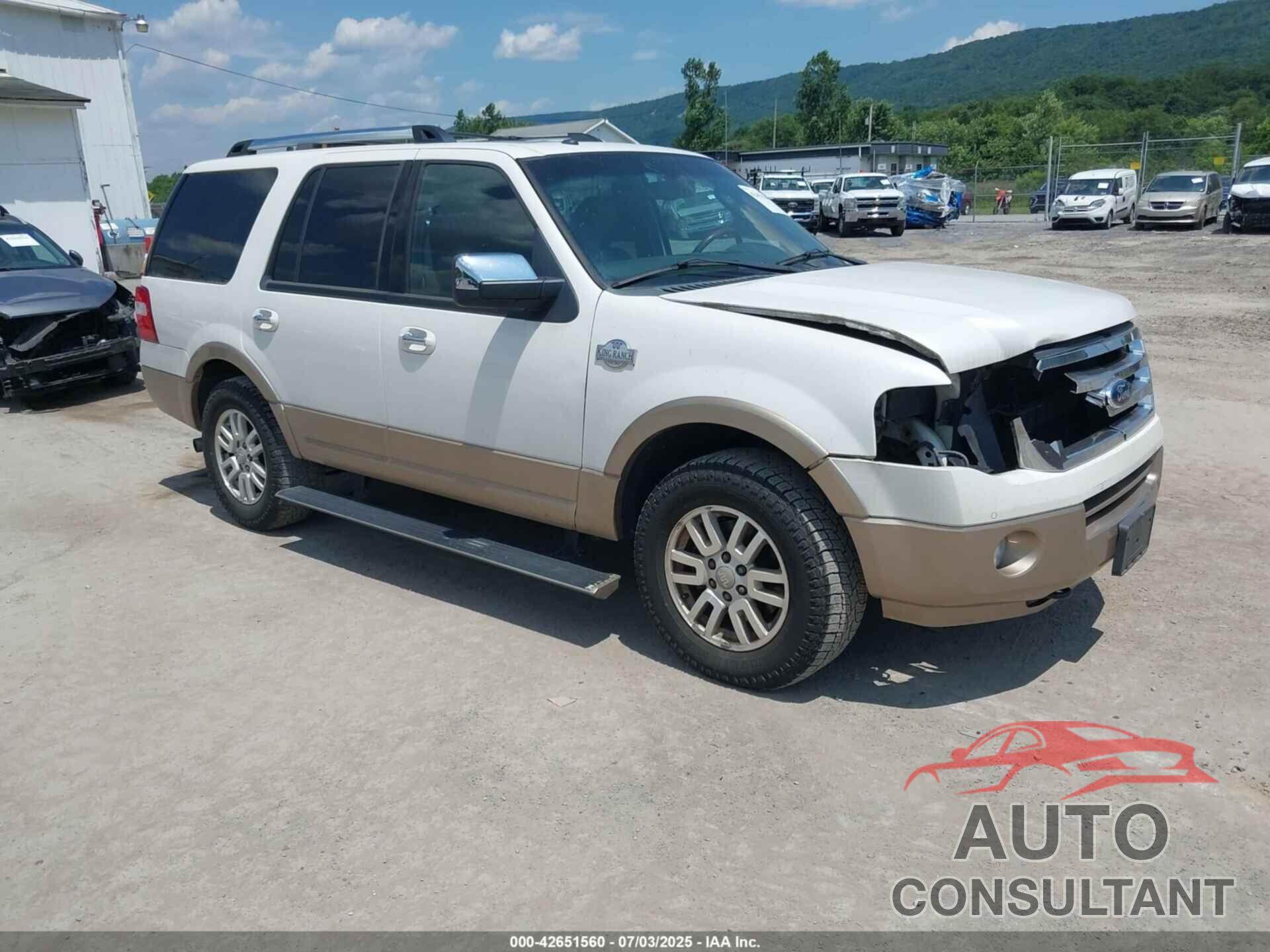 FORD EXPEDITION 2014 - 1FMJU1J57EEF61438