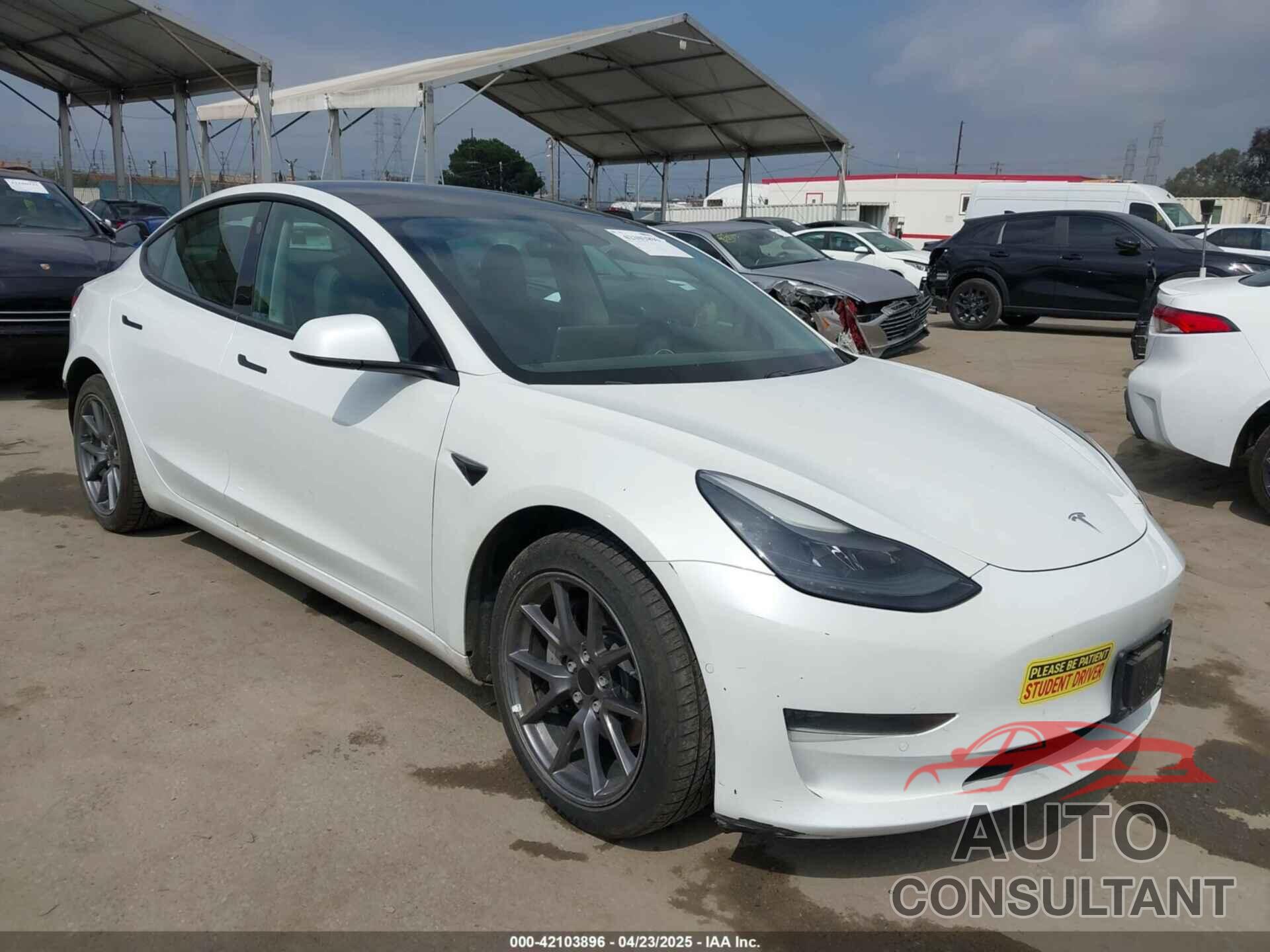 TESLA MODEL 3 2021 - 5YJ3E1EA3MF054115
