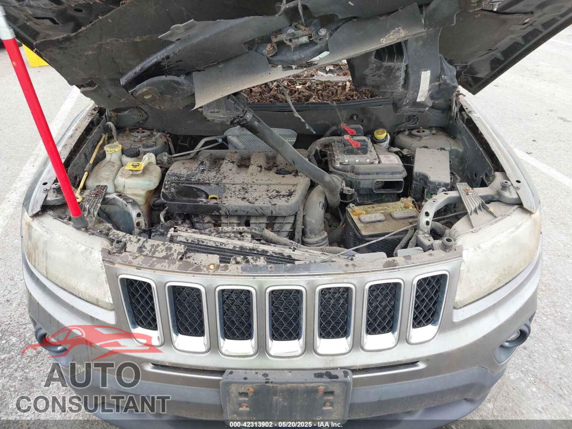 JEEP COMPASS 2011 - 1J4NT1FB0BD195792