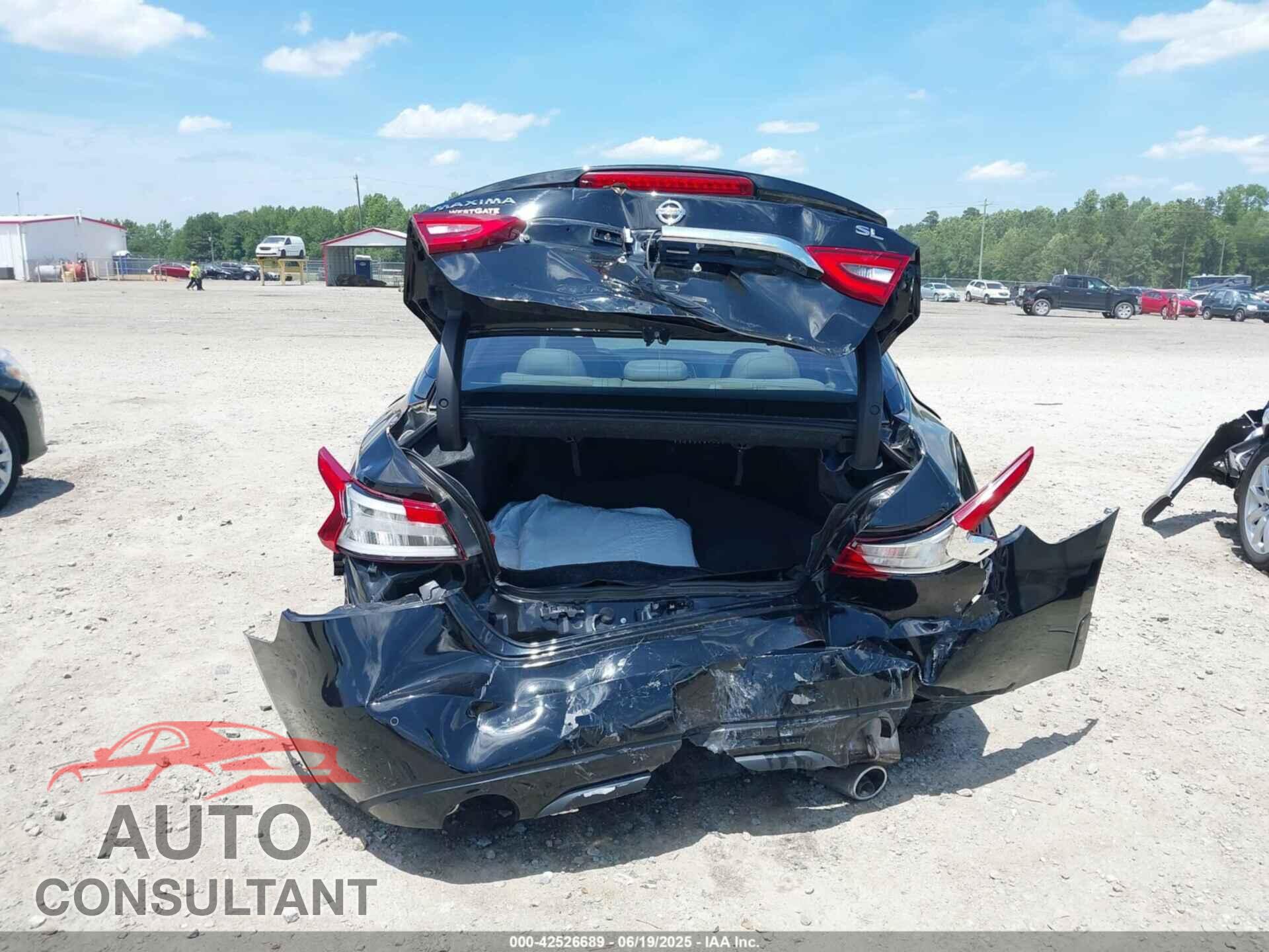 NISSAN MAXIMA 2016 - 1N4AA6AP1GC901425