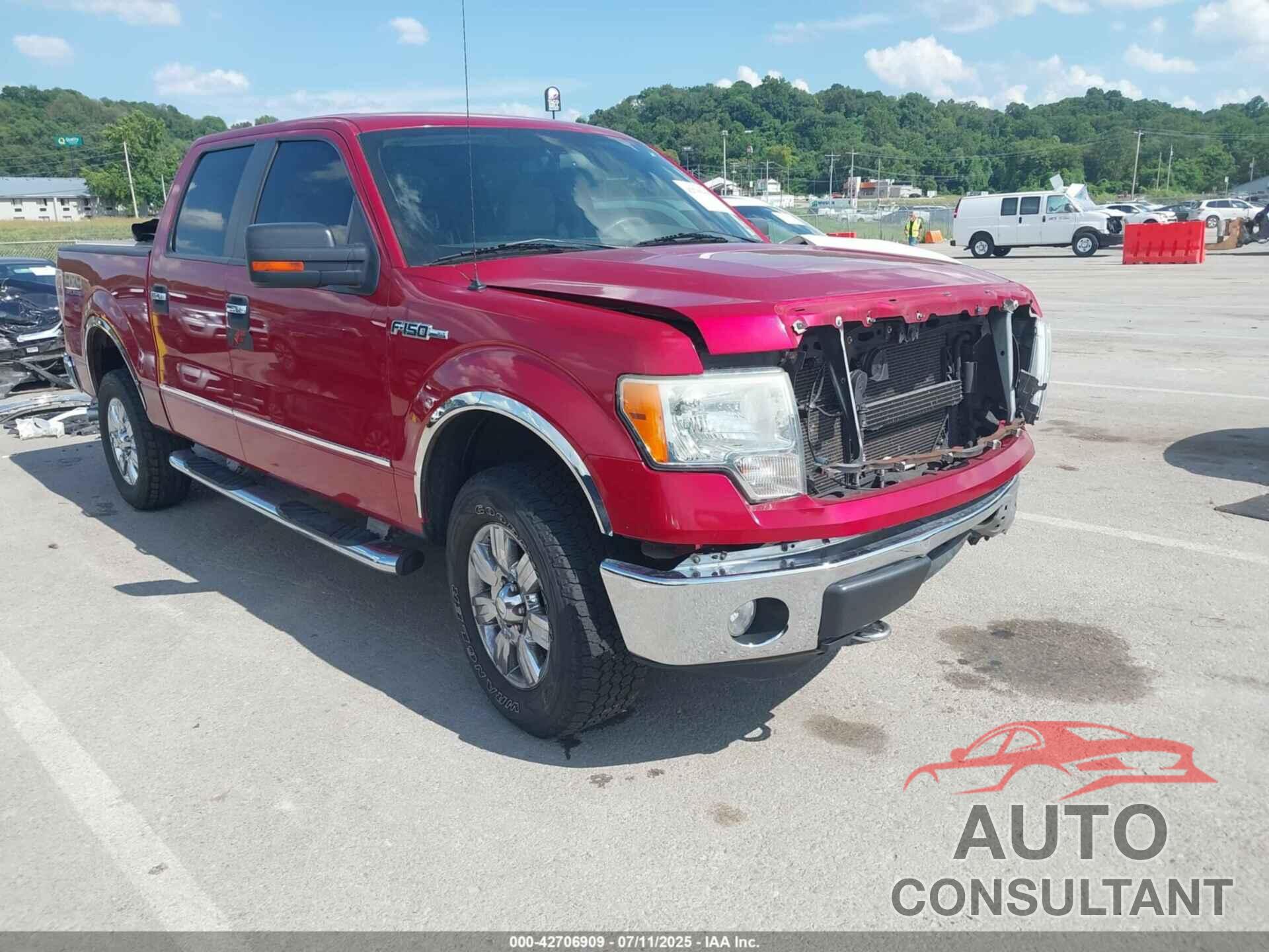 FORD F-150 2010 - 1FTFW1EV7AFB43996