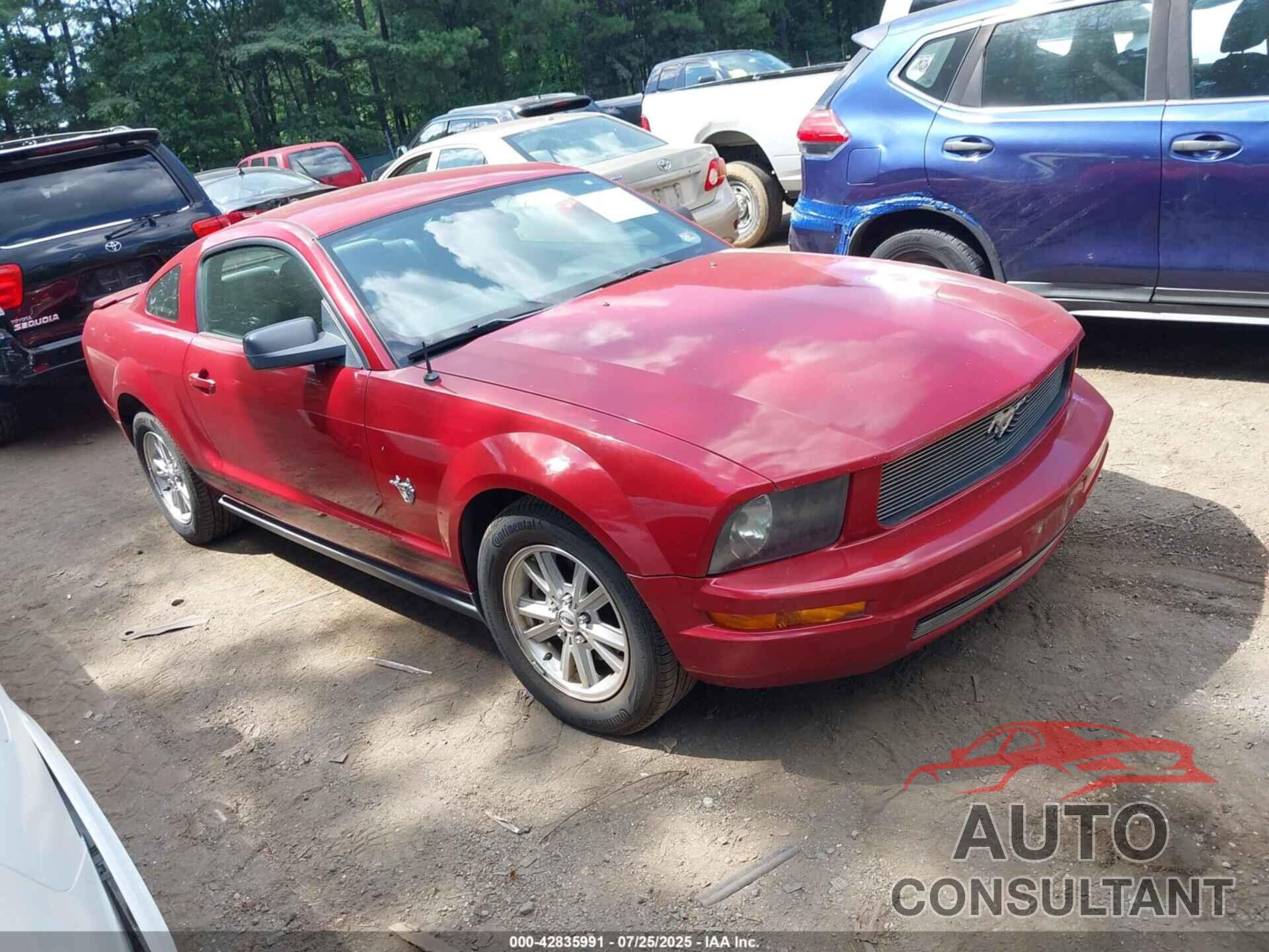 FORD MUSTANG 2009 - 1ZVHT80N095116557