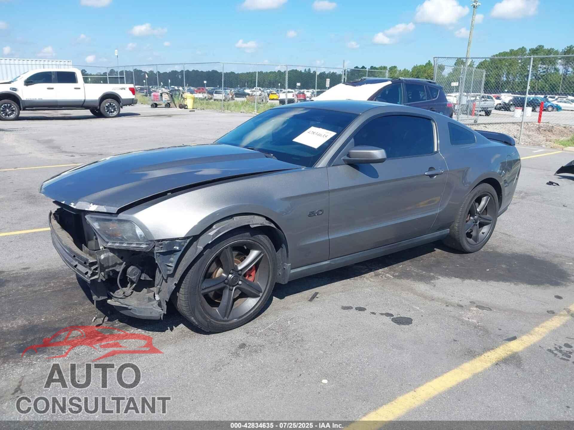 FORD MUSTANG 2011 - 1ZVBP8CF8B5130498