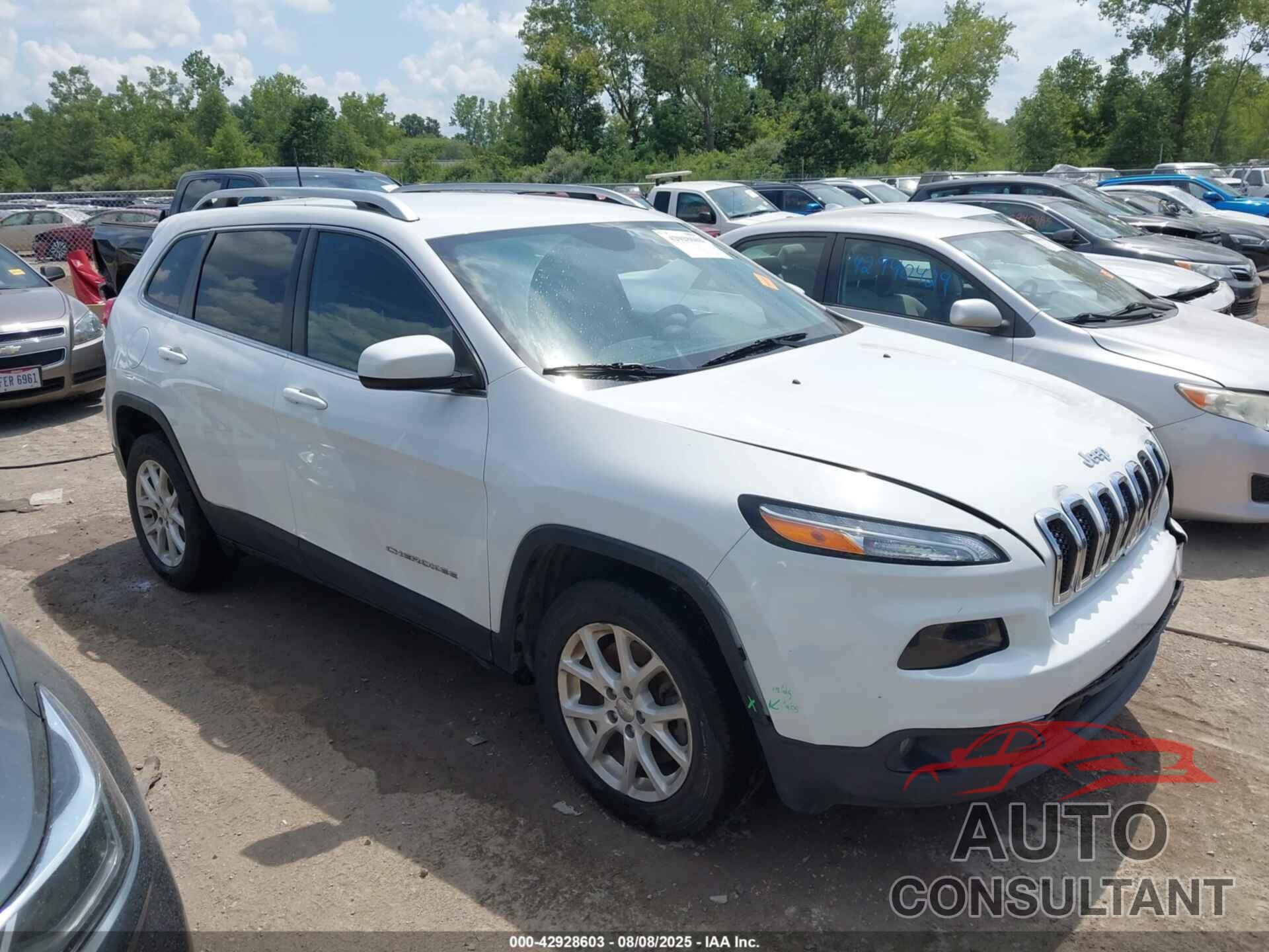 JEEP CHEROKEE 2017 - 1C4PJLCB0HW541455