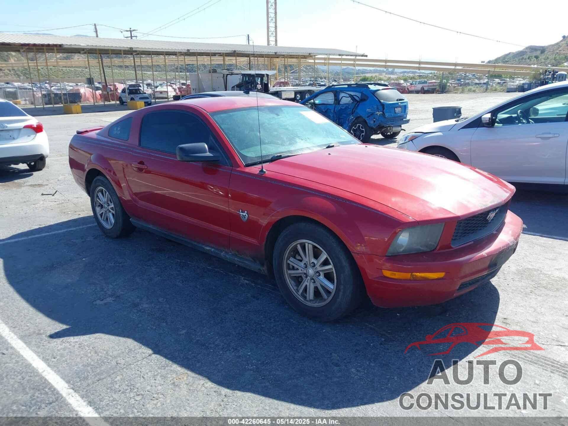FORD MUSTANG 2009 - 1ZVHT80N495100815