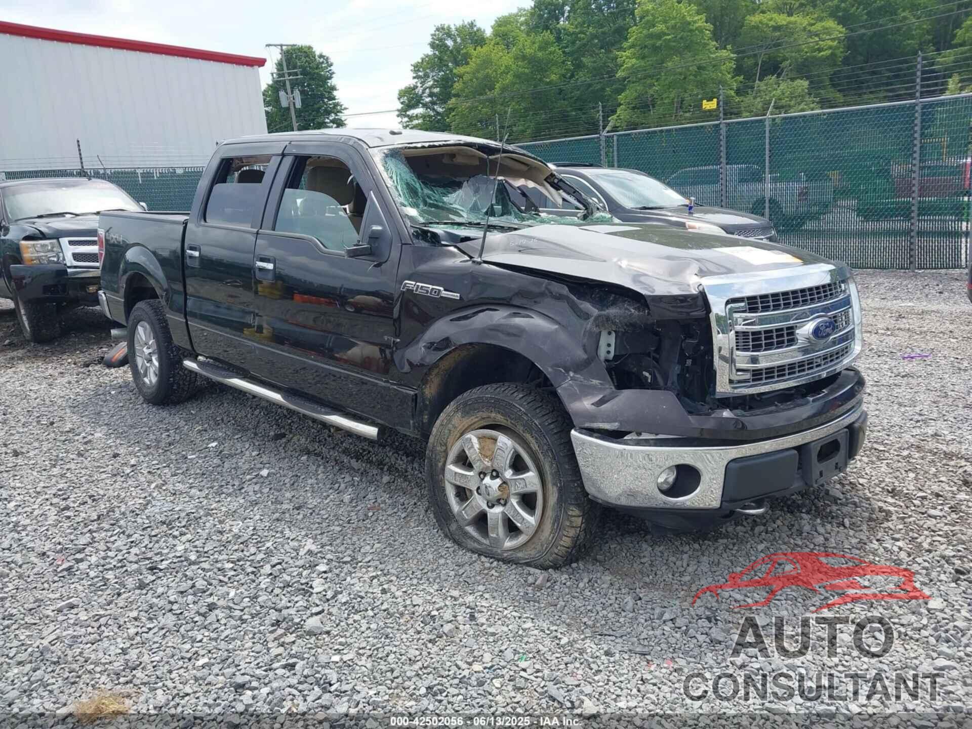 FORD F-150 2013 - 1FTFW1EF3DFB65491