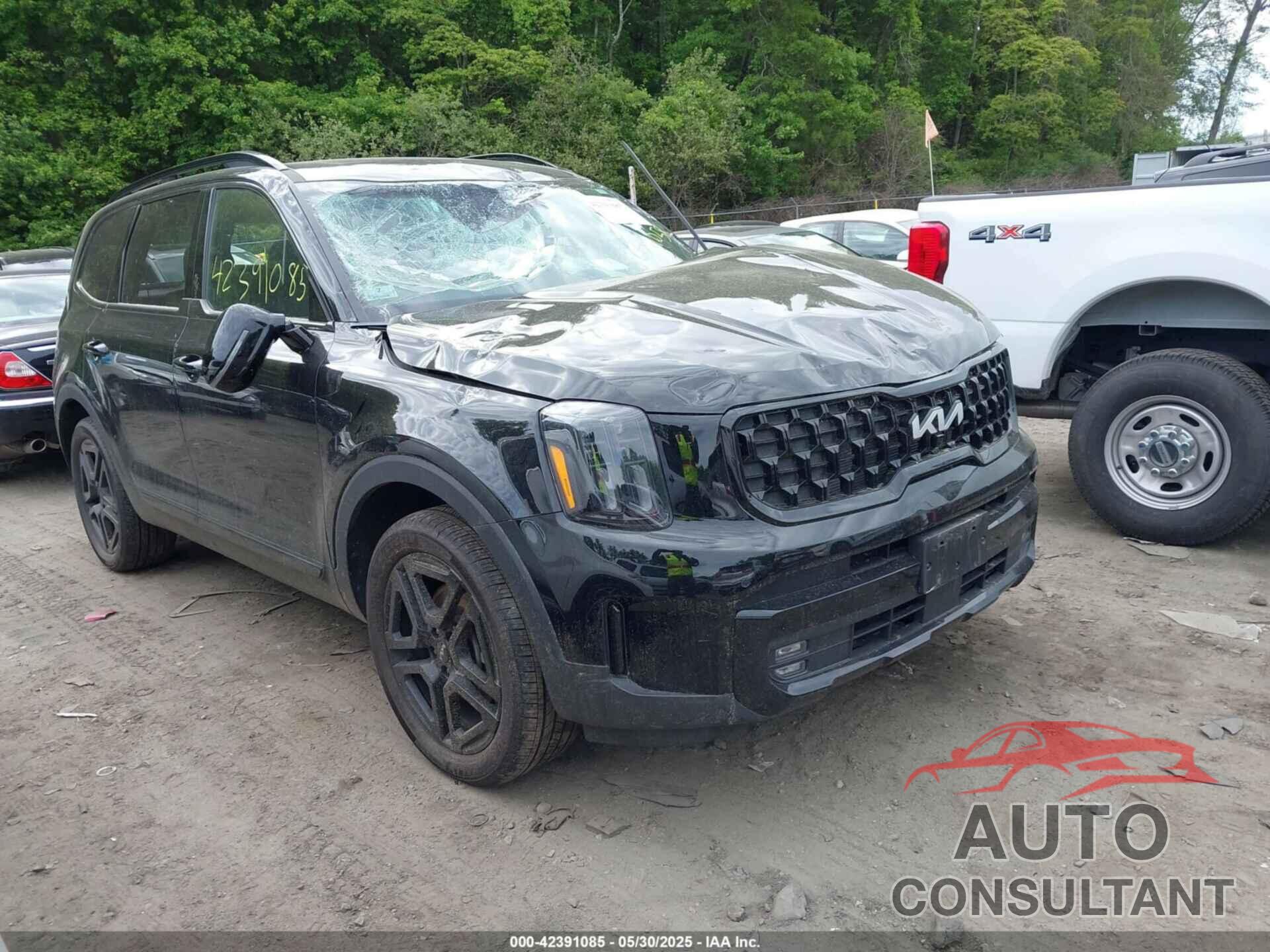 KIA TELLURIDE 2024 - 5XYP5DGC8RG520090