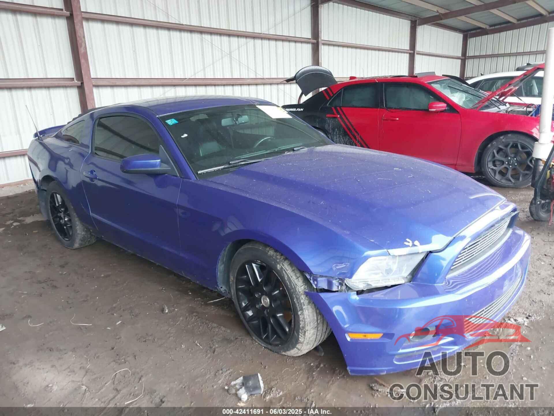 FORD MUSTANG 2013 - 1ZVBP8AM2D5262273